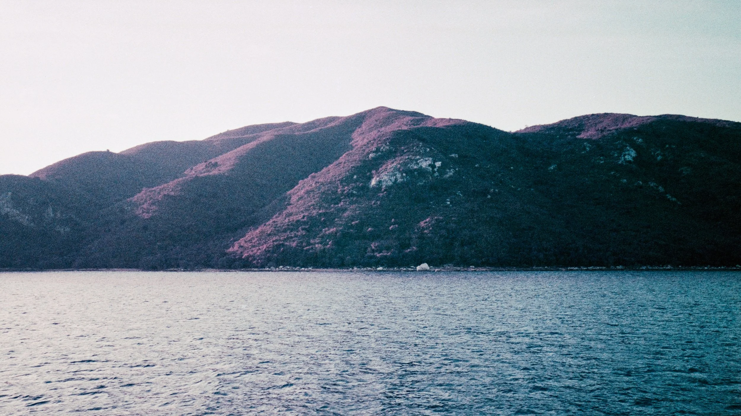 4KWEB-Ultra Violet-029.jpg