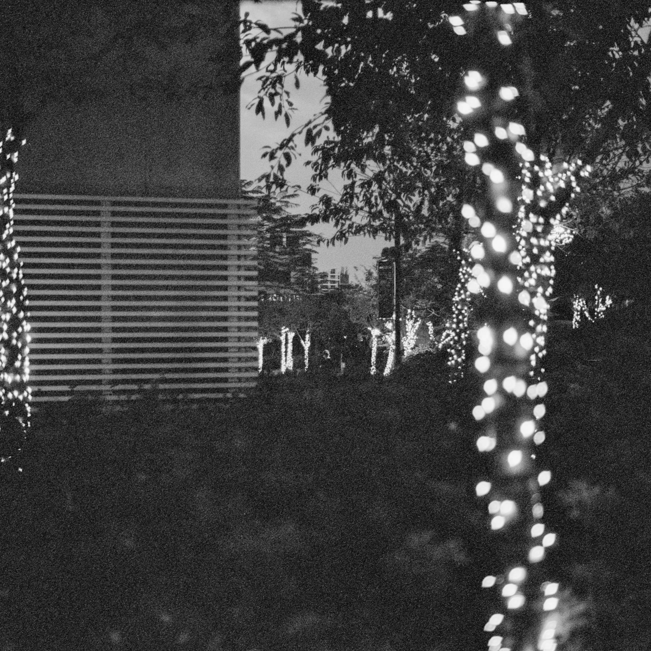 4KWEB-M6-2024-XP2 Super-028.jpg