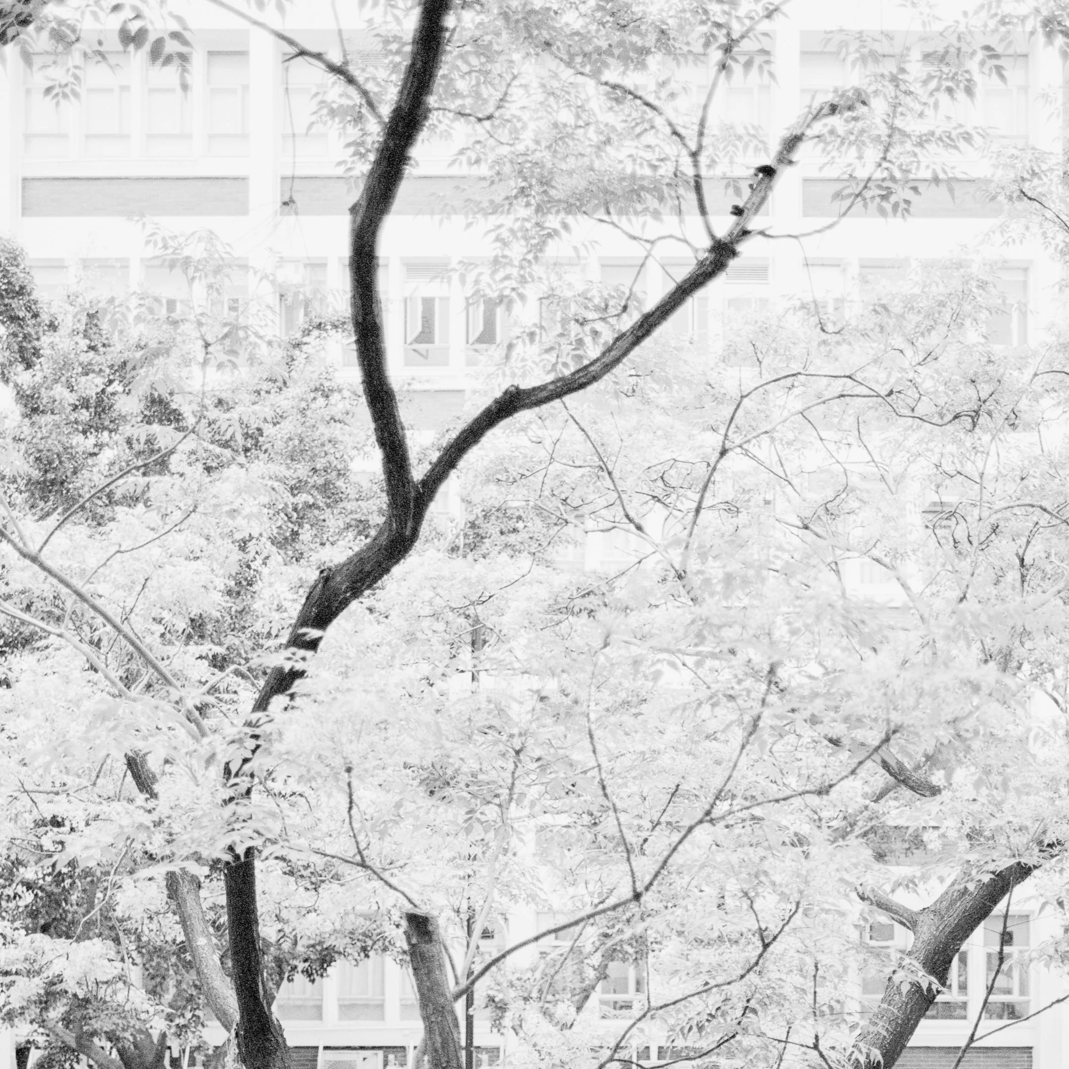 4KWEB-S2b-2024-XP2 Super-023.jpg