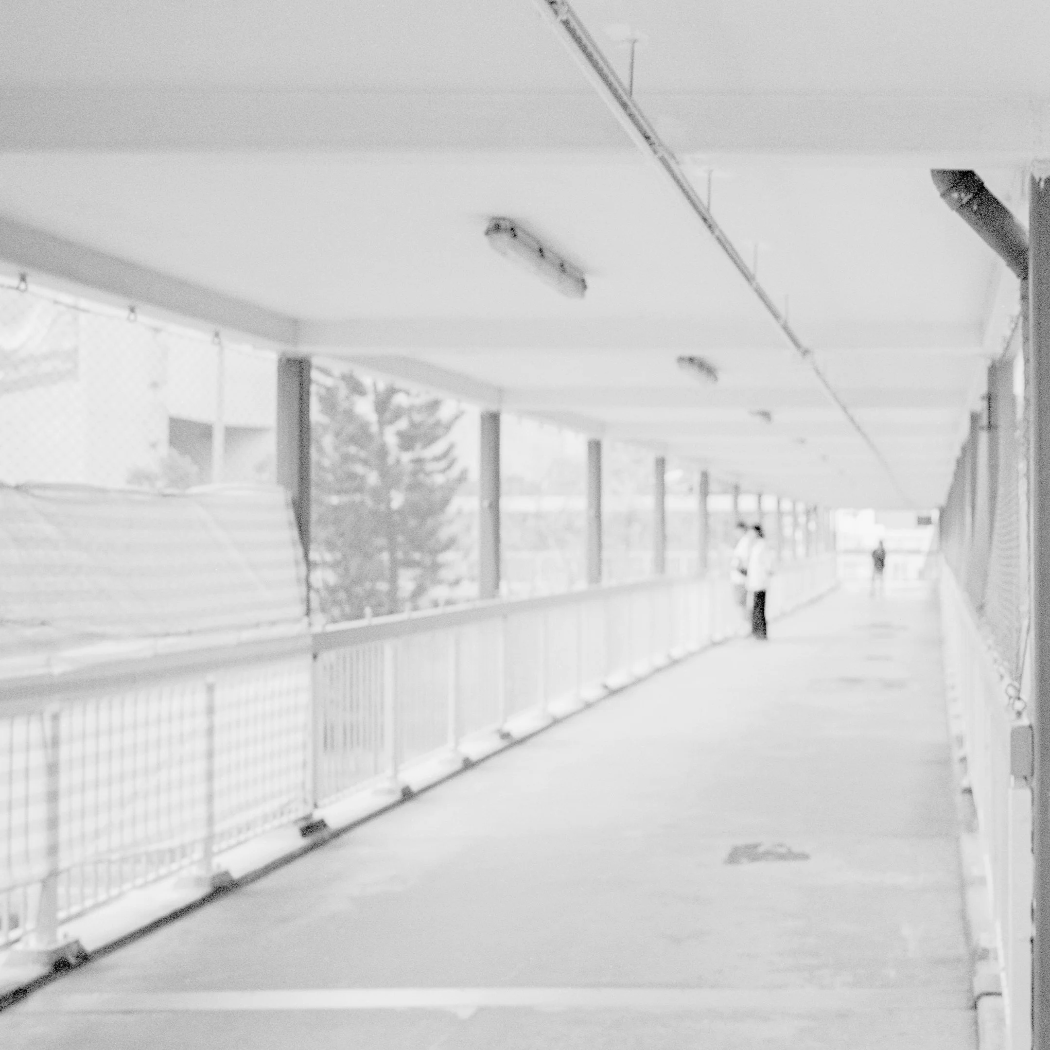 4KWEB-S2b-2024-XP2 Super-033.jpg