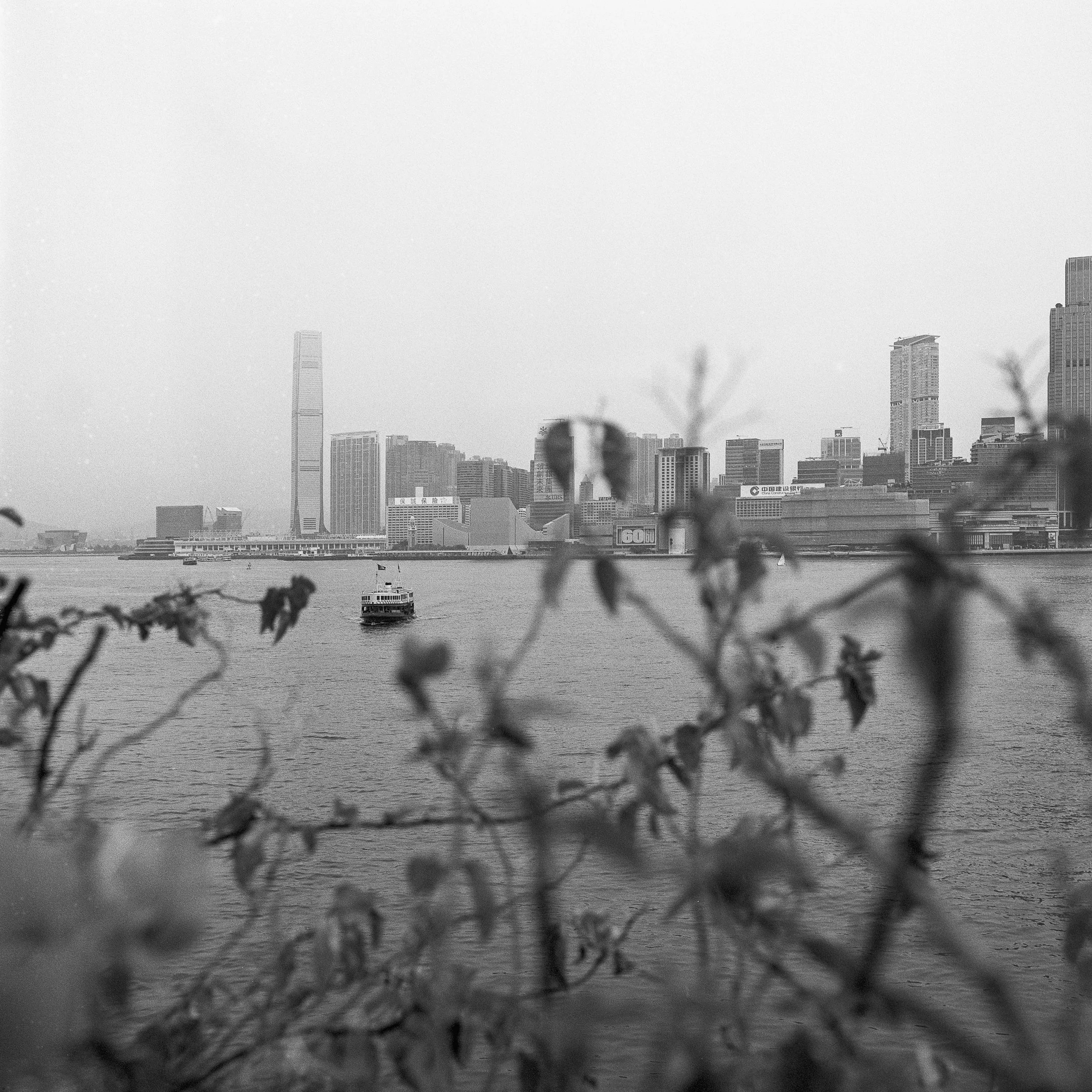 4KWEB-Delta 400-2022-503CW-12.jpg