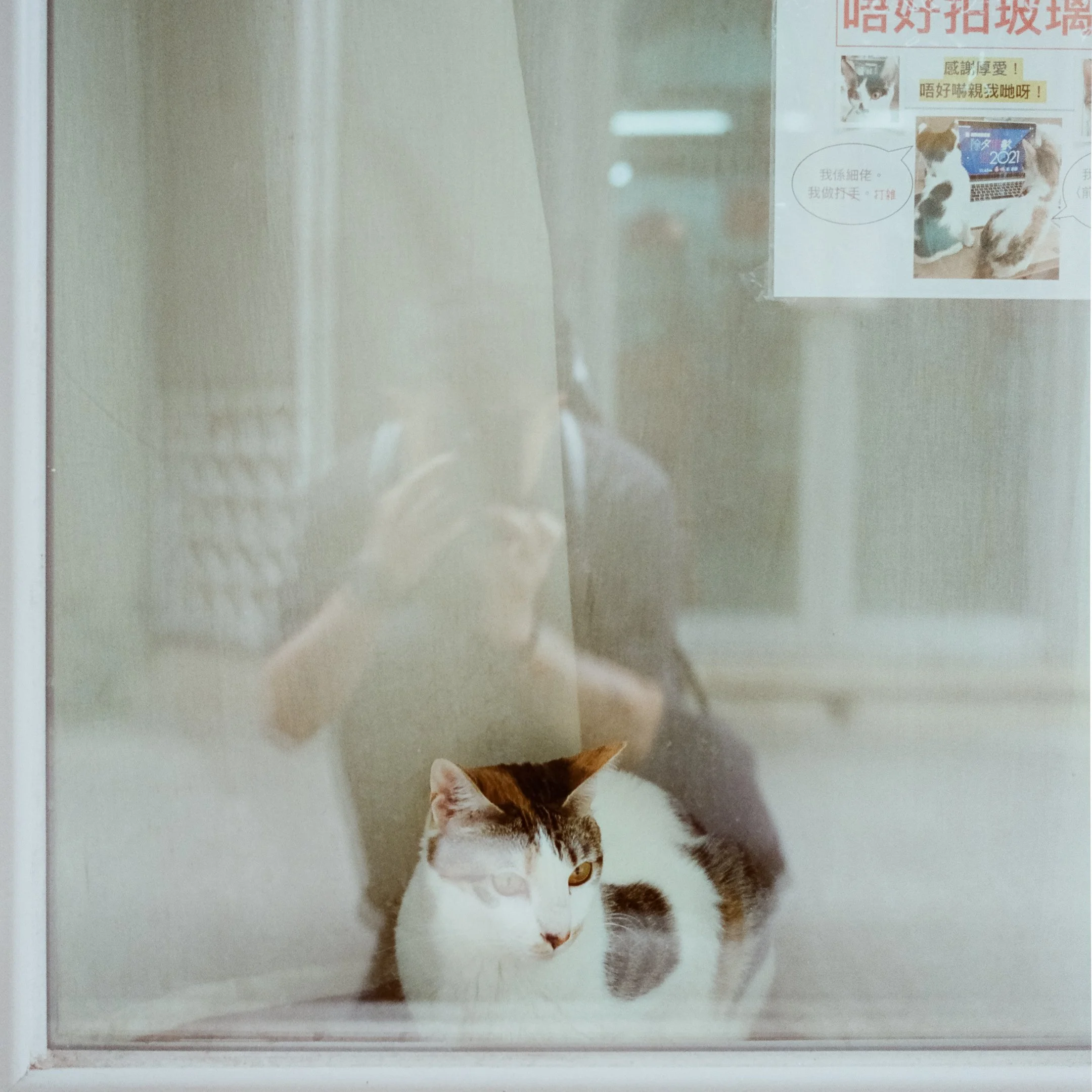 4KWEB-M6-2023-Cinestill 400D-033.jpg