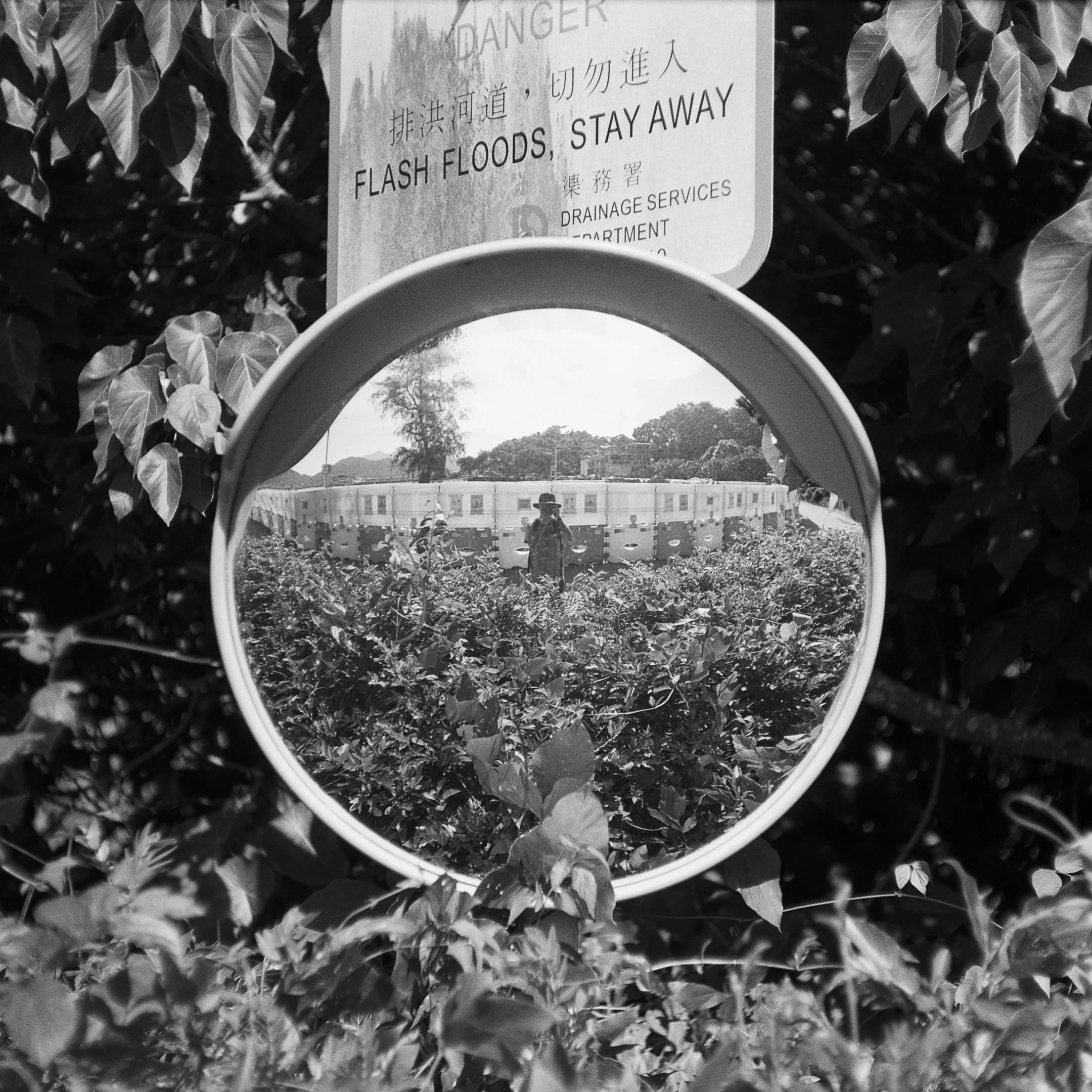 4KWEB-M6-2023-ACROS II-021.jpg