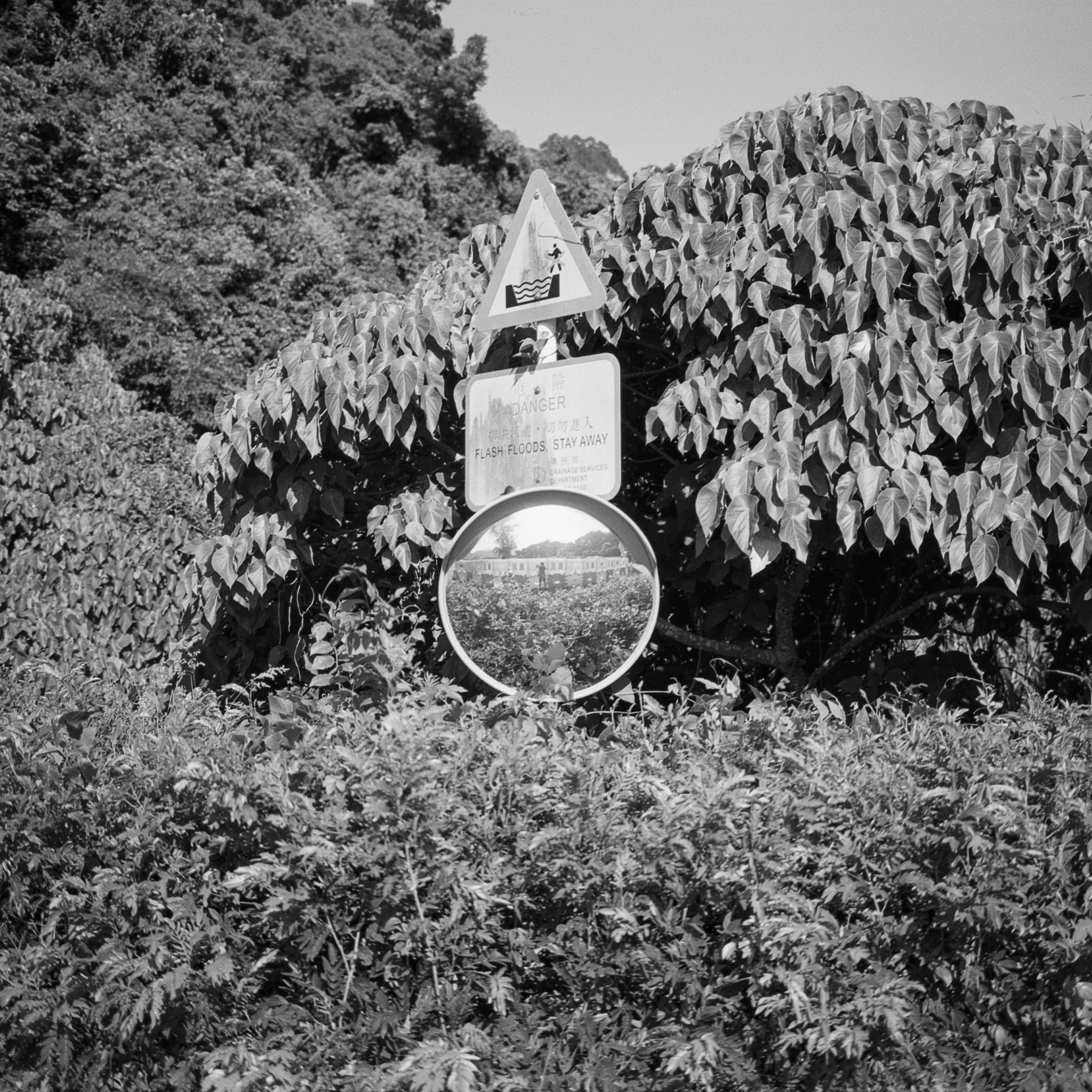 4KWEB-M6-2023-ACROS II-026.jpg