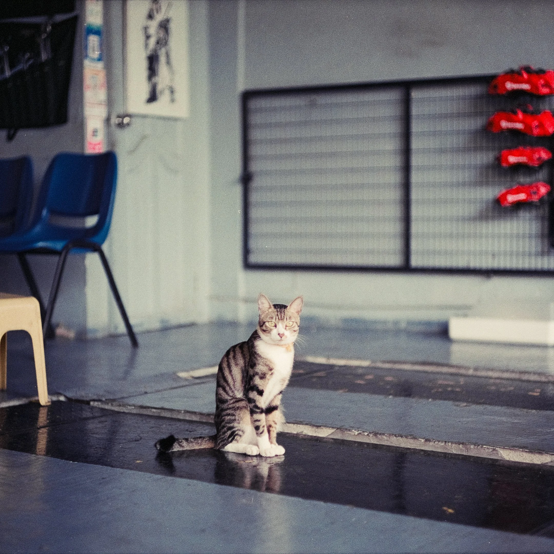 4KWEB-M6-2023-Pro 400H-072.jpg