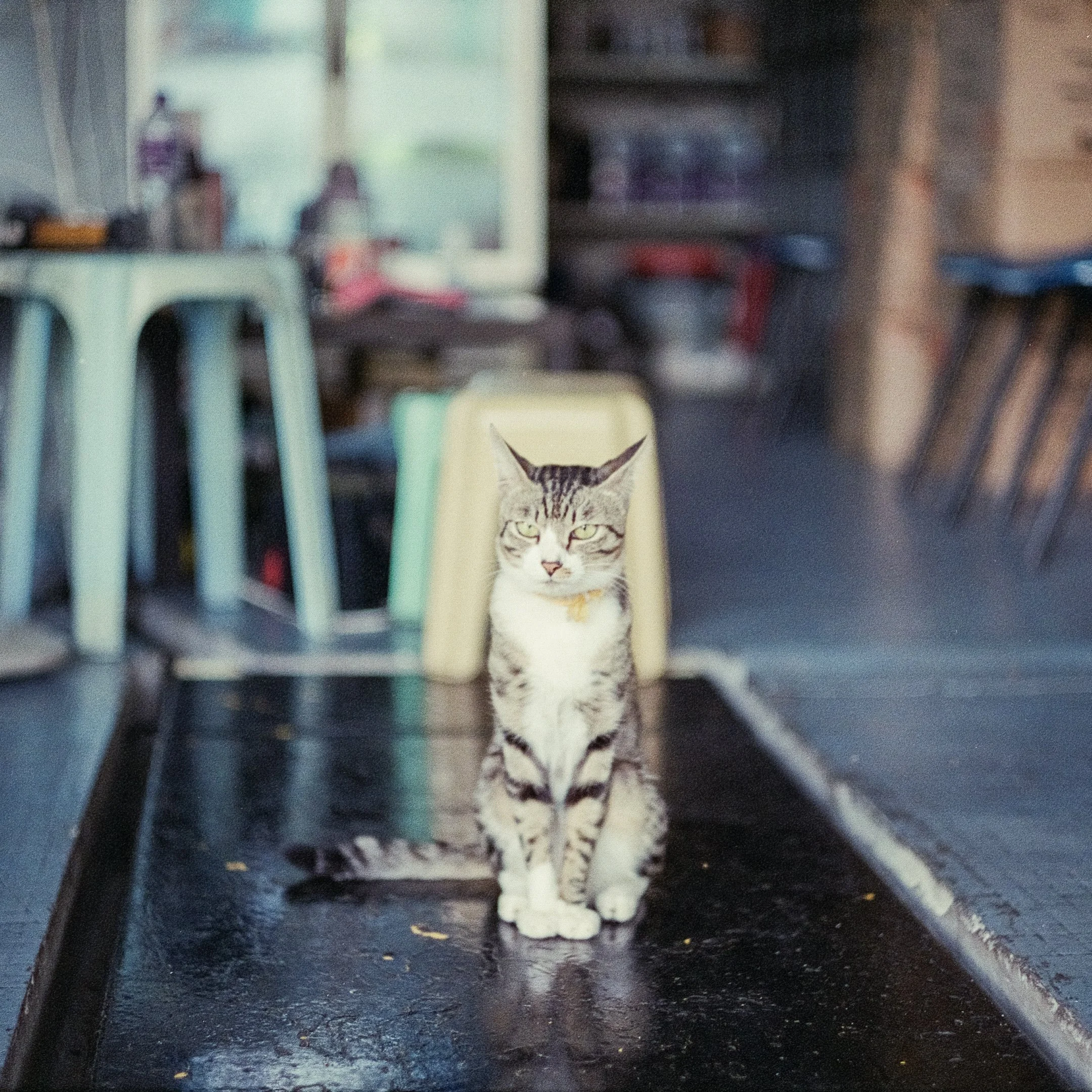 4KWEB-M6-2023-Pro 400H-071.jpg