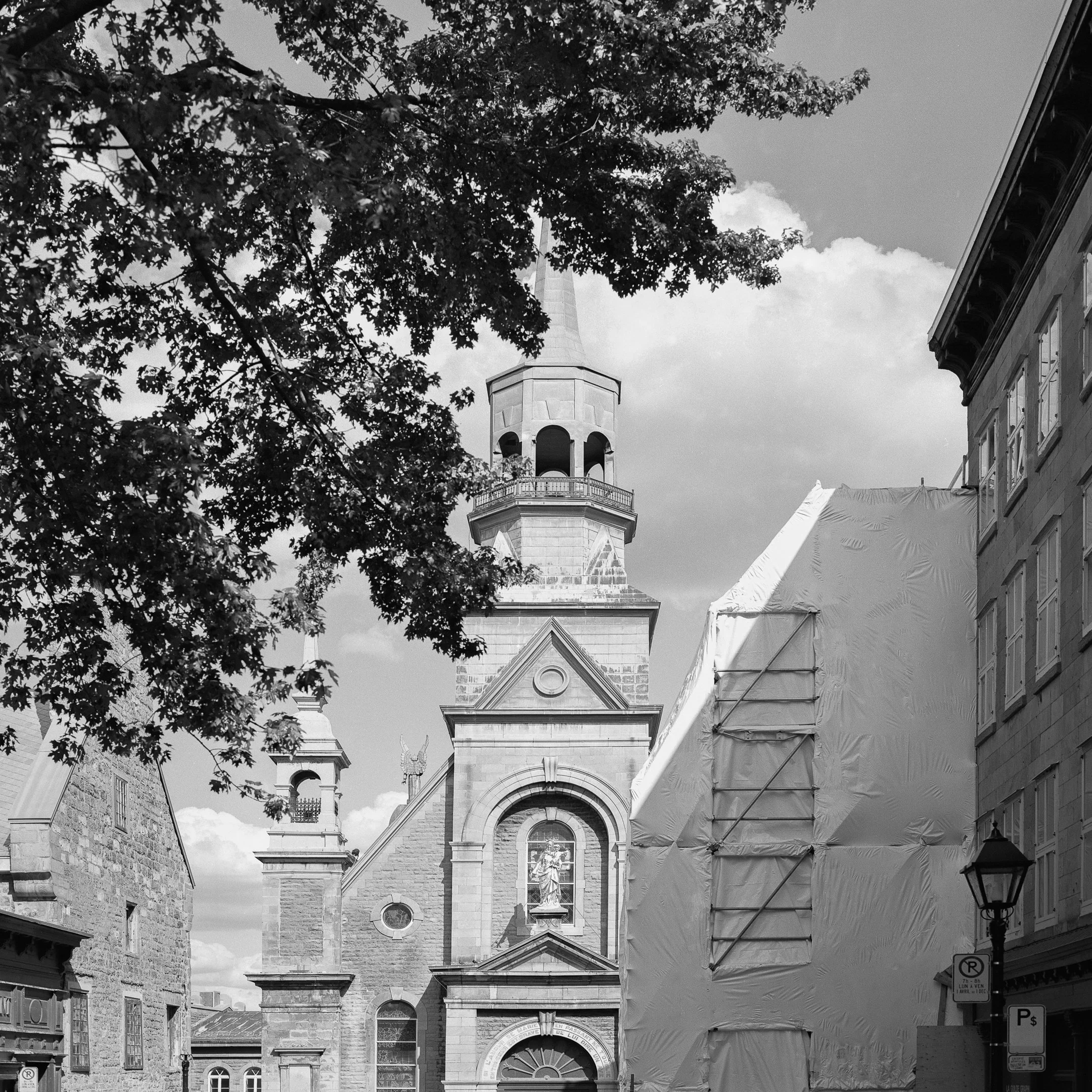 4KWEB-XP2 Super-2024-503CW-11.jpg