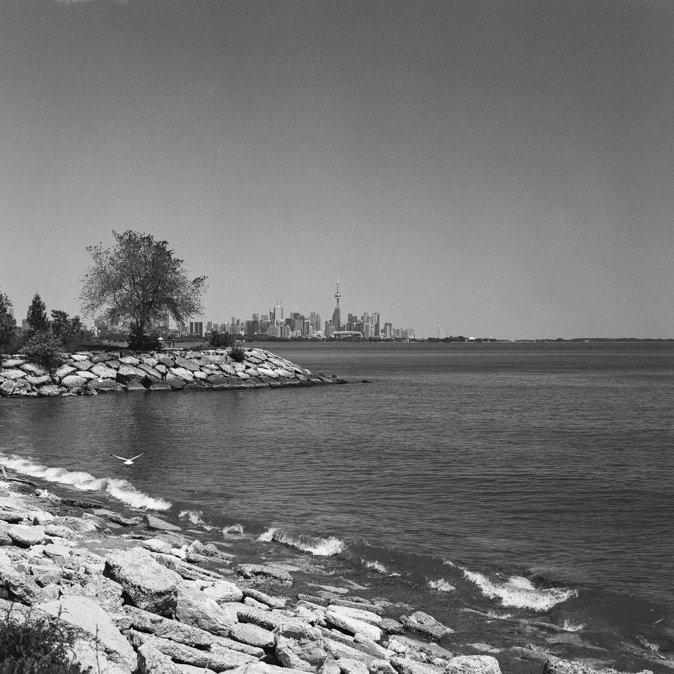 4KWEB-XP2 Super-2024-503CW-45.jpg