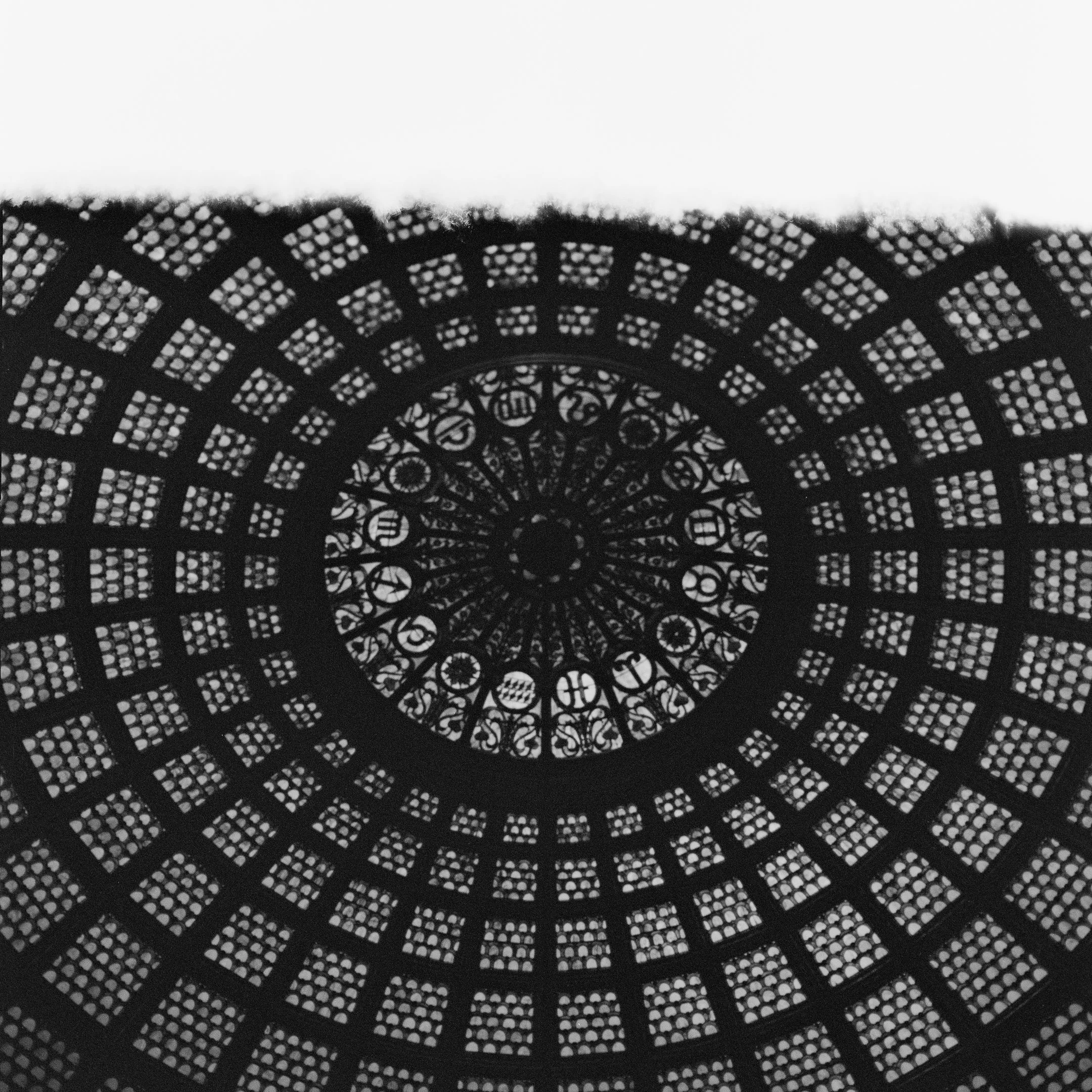 4KWEB-XP2 Super-2024-503CW-84.jpg