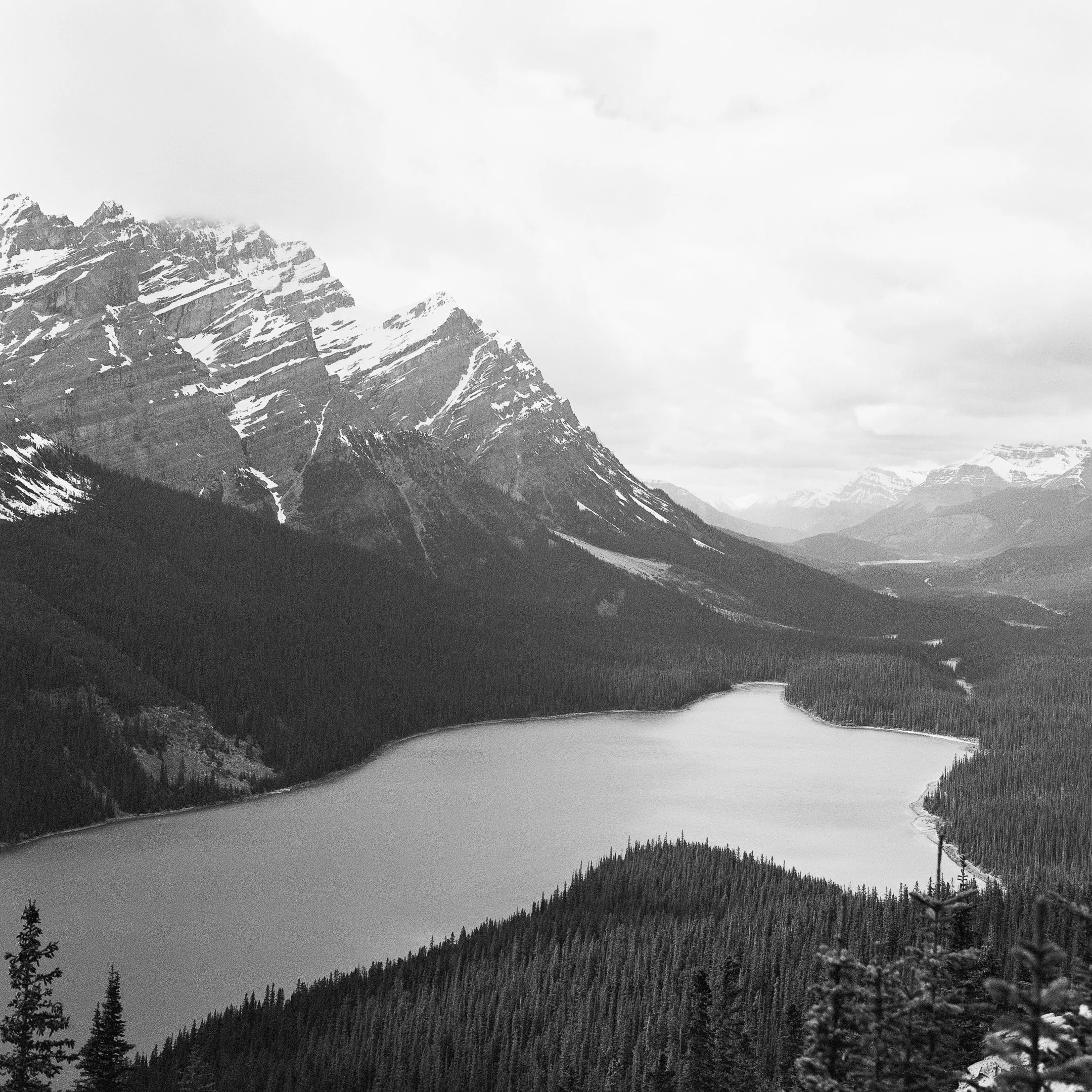 4KWEB-XP2 Super-2024-503CW-128.jpg