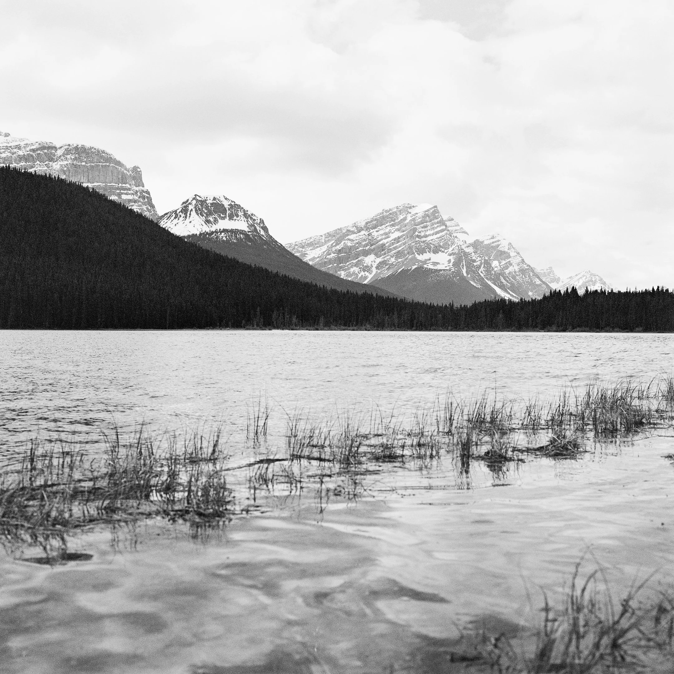 4KWEB-XP2 Super-2024-503CW-130.jpg