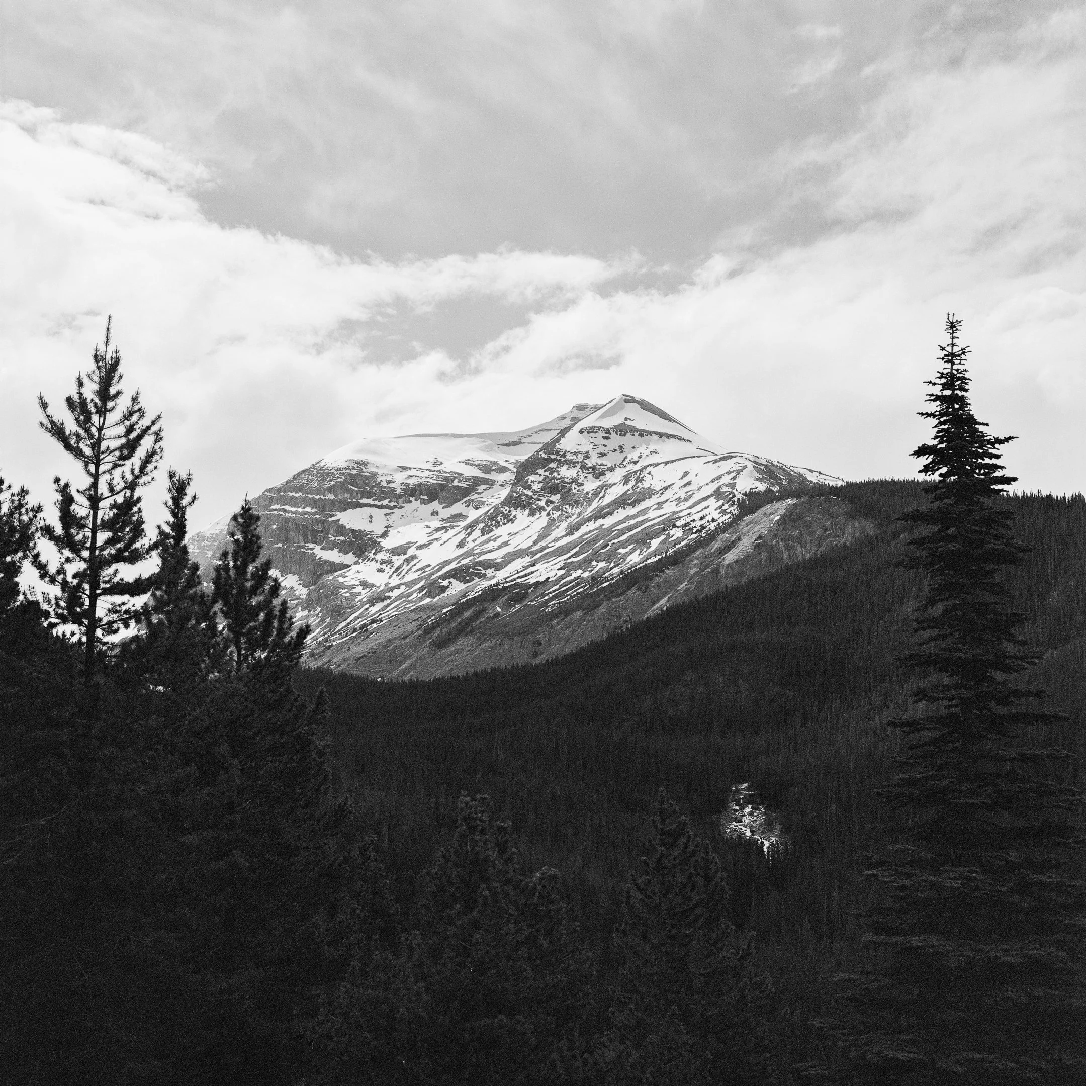 4KWEB-XP2 Super-2024-503CW-131.jpg