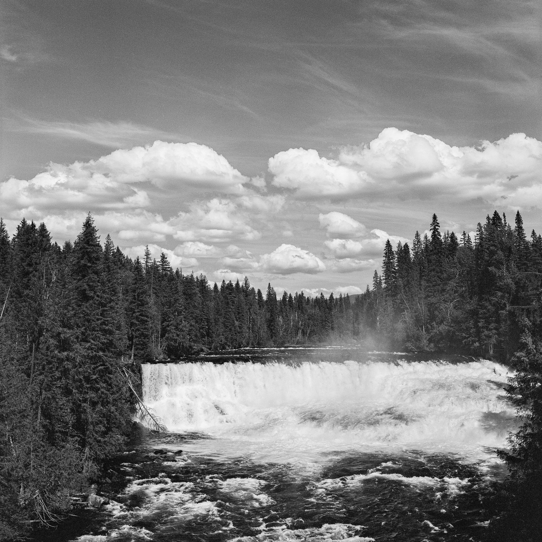 4KWEB-XP2 Super-2024-503CW-135.jpg