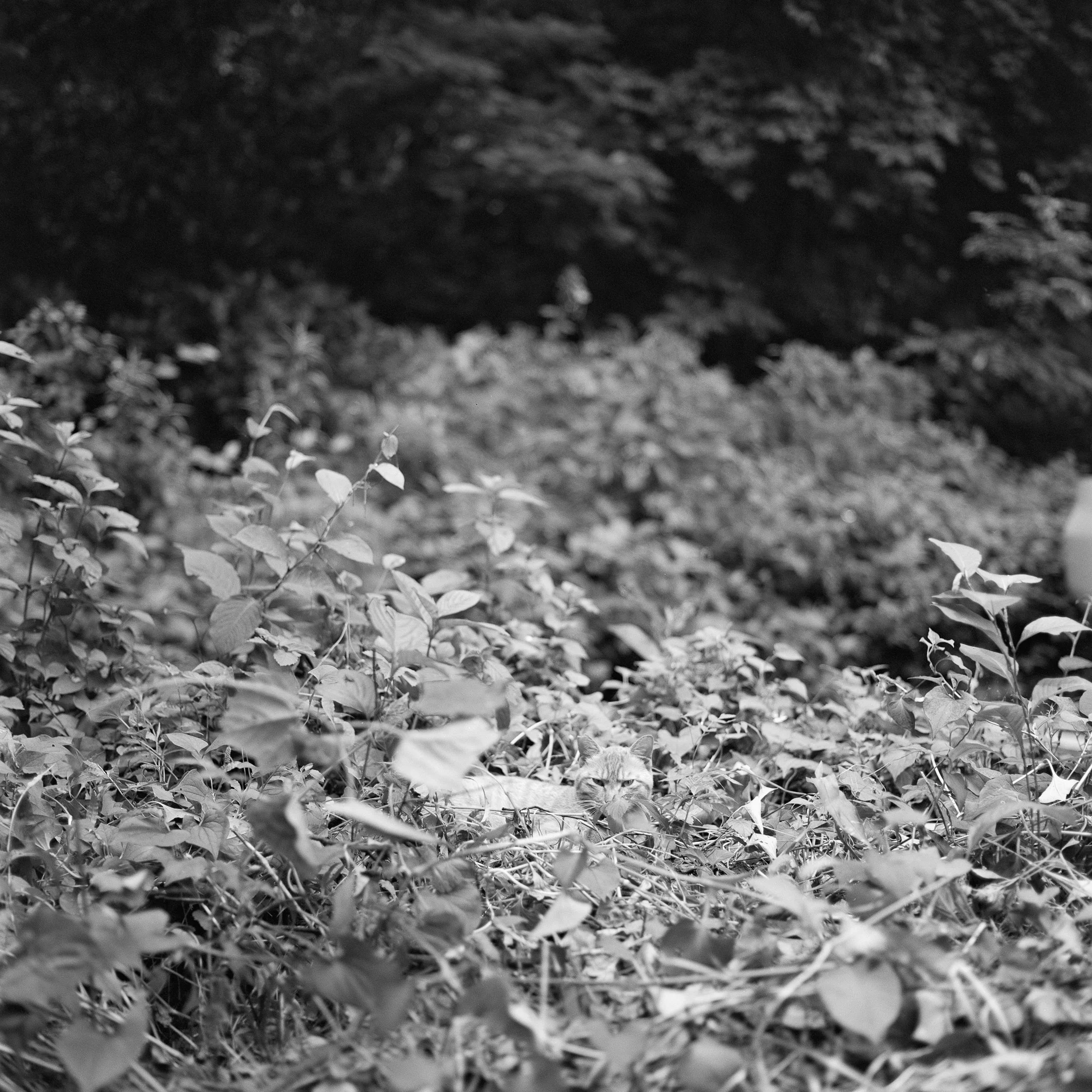 4KWEB-XP2 Super-2024-503CW-149.jpg