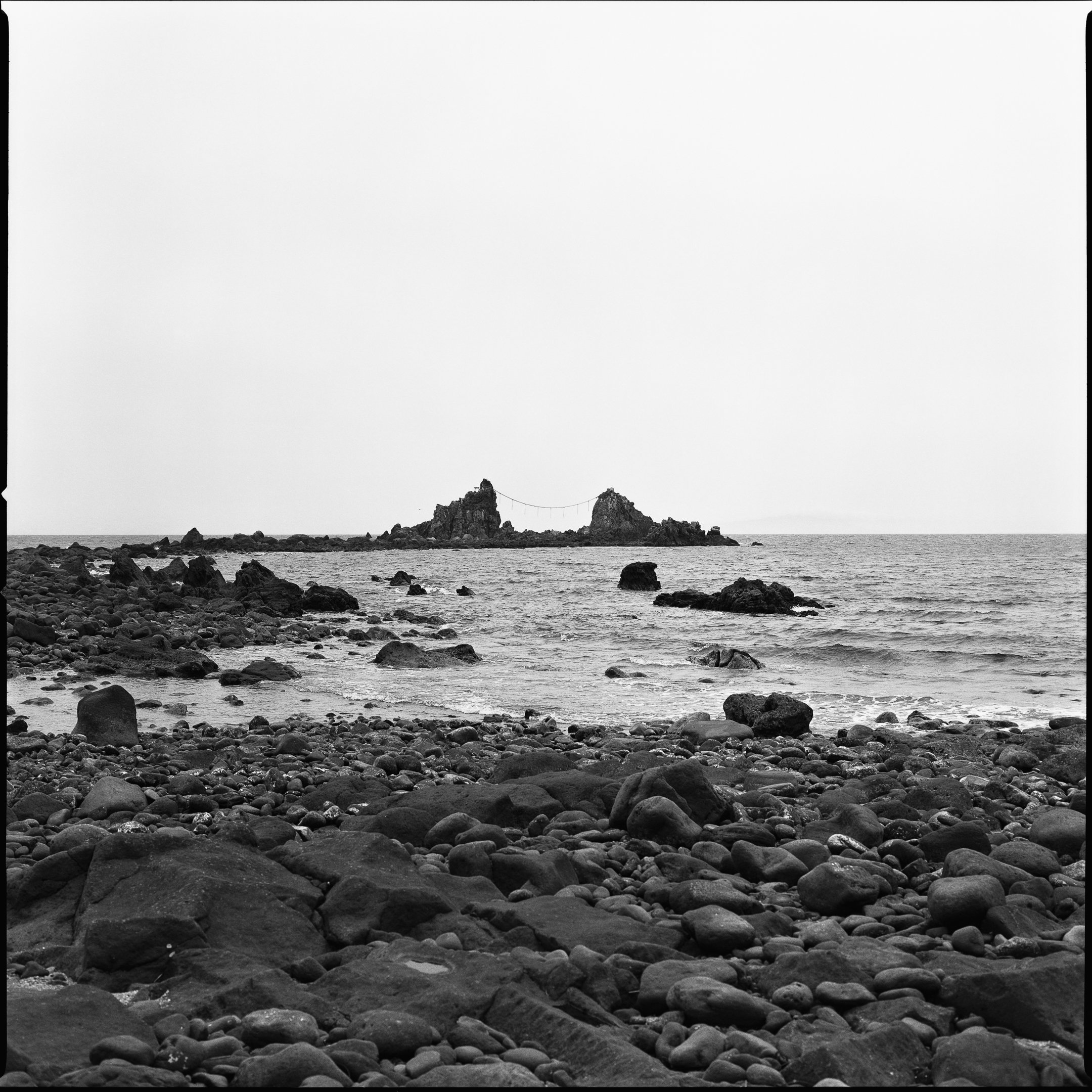 4KWEB-XP2 Super-2024-503CW-150.jpg