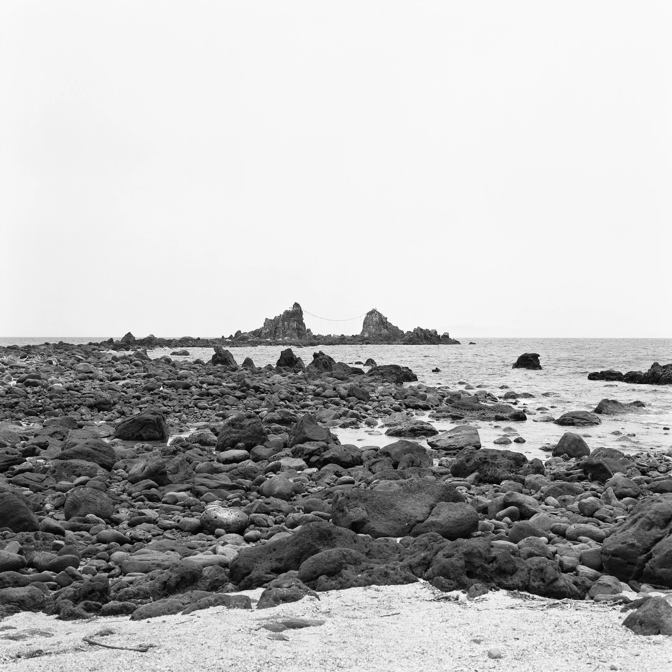 4KWEB-XP2 Super-2024-503CW-151.jpg