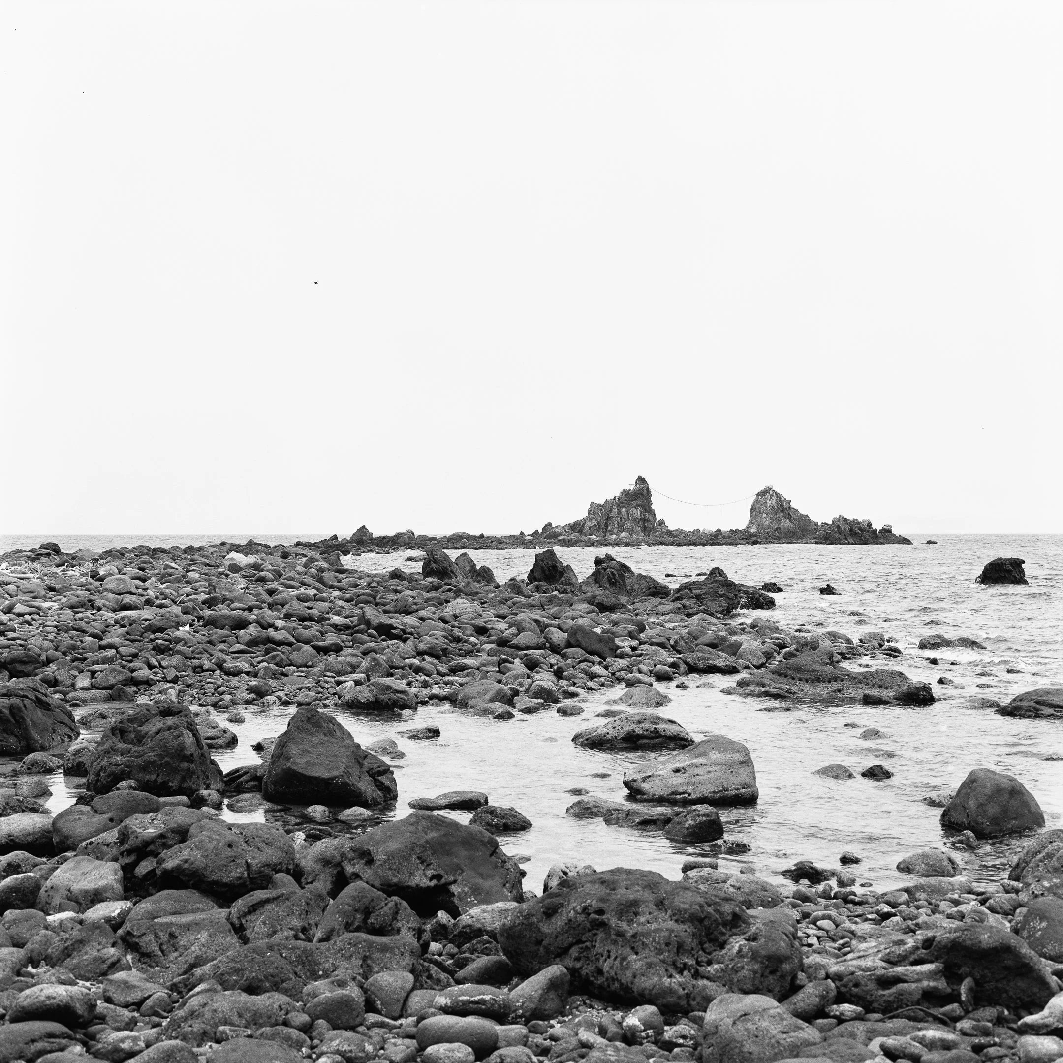 4KWEB-XP2 Super-2024-503CW-156.jpg