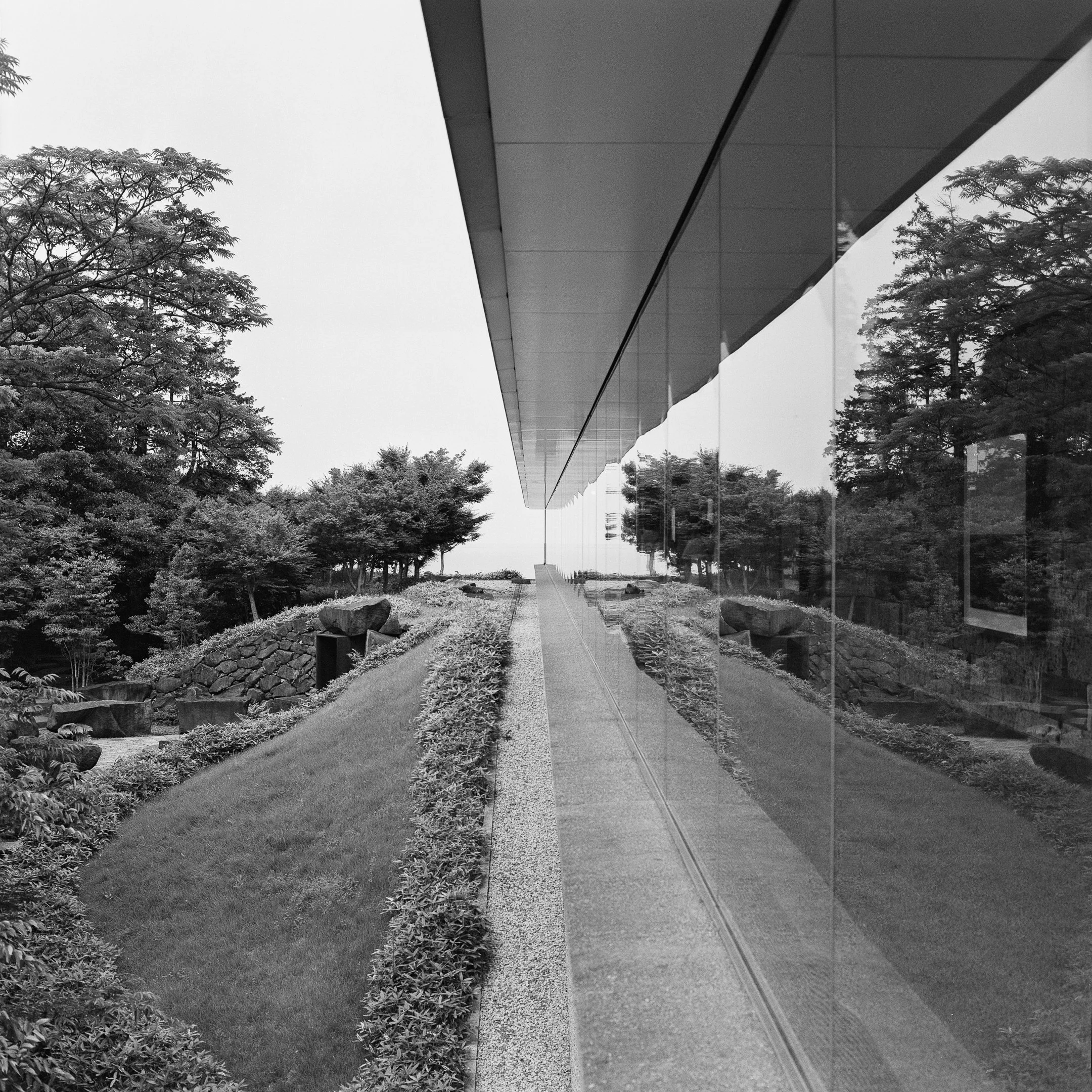 4KWEB-XP2 Super-2024-503CW-157.jpg