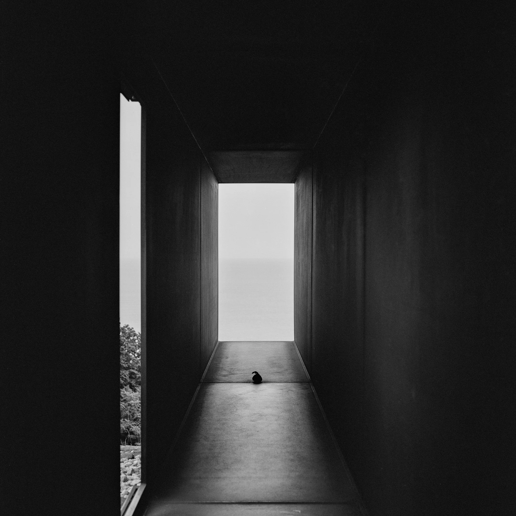 4KWEB-XP2 Super-2024-503CW-161.jpg