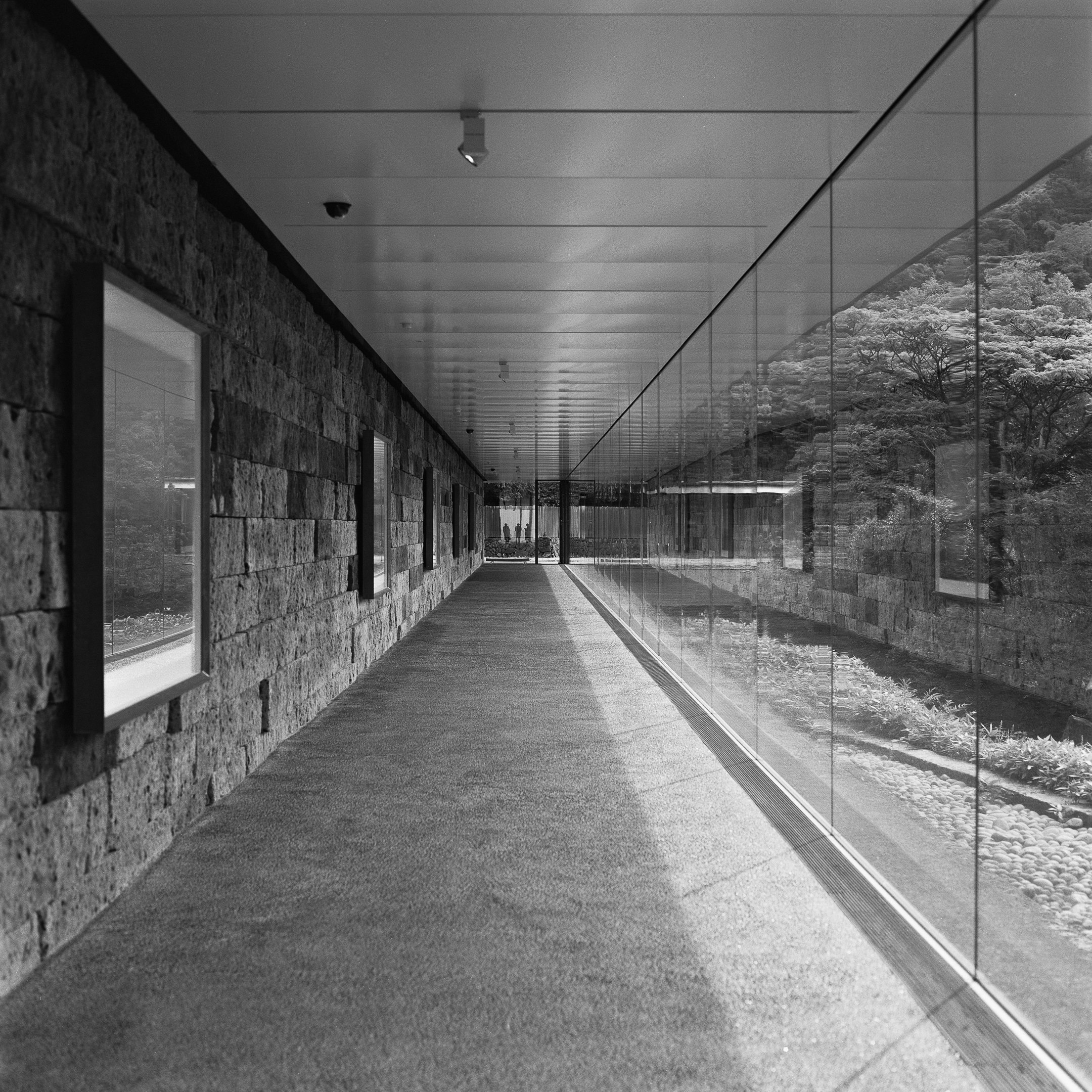 4KWEB-XP2 Super-2024-503CW-166.jpg