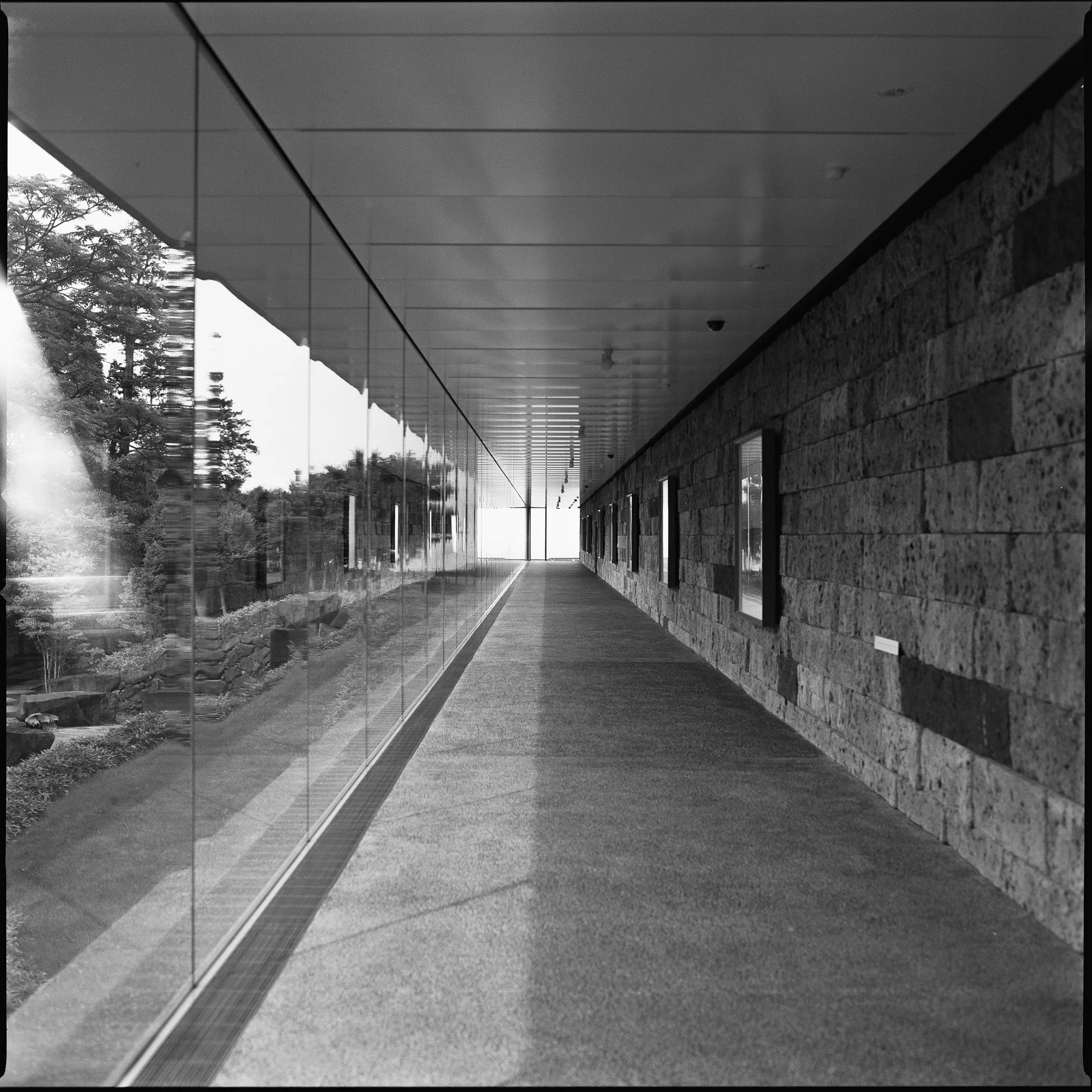 4KWEB-XP2 Super-2024-503CW-168.jpg