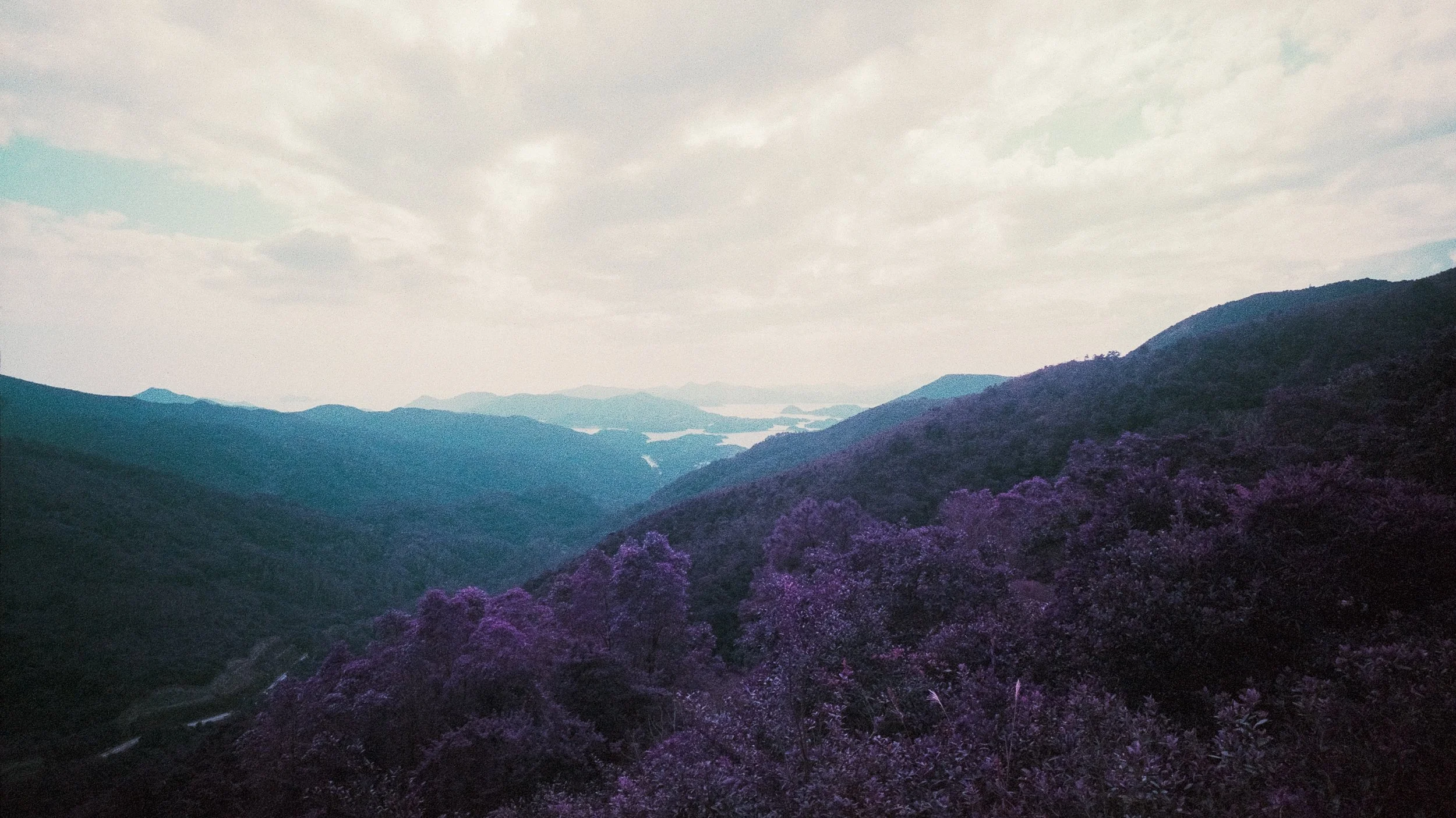 4KWEB-M6-2024-Lomochrome Purple XR-078.jpg