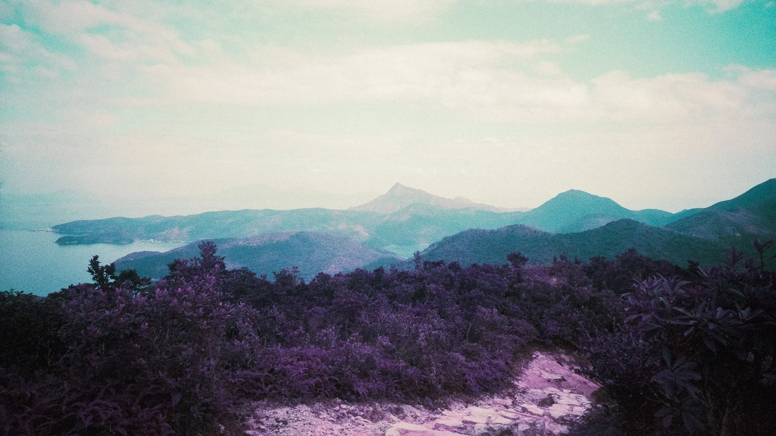 4KWEB-M6-2024-Lomochrome Purple XR-082.jpg