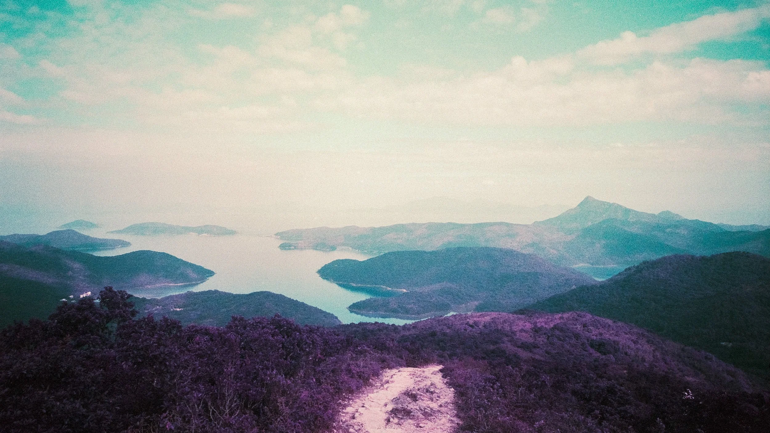 4KWEB-M6-2024-Lomochrome Purple XR-086.jpg
