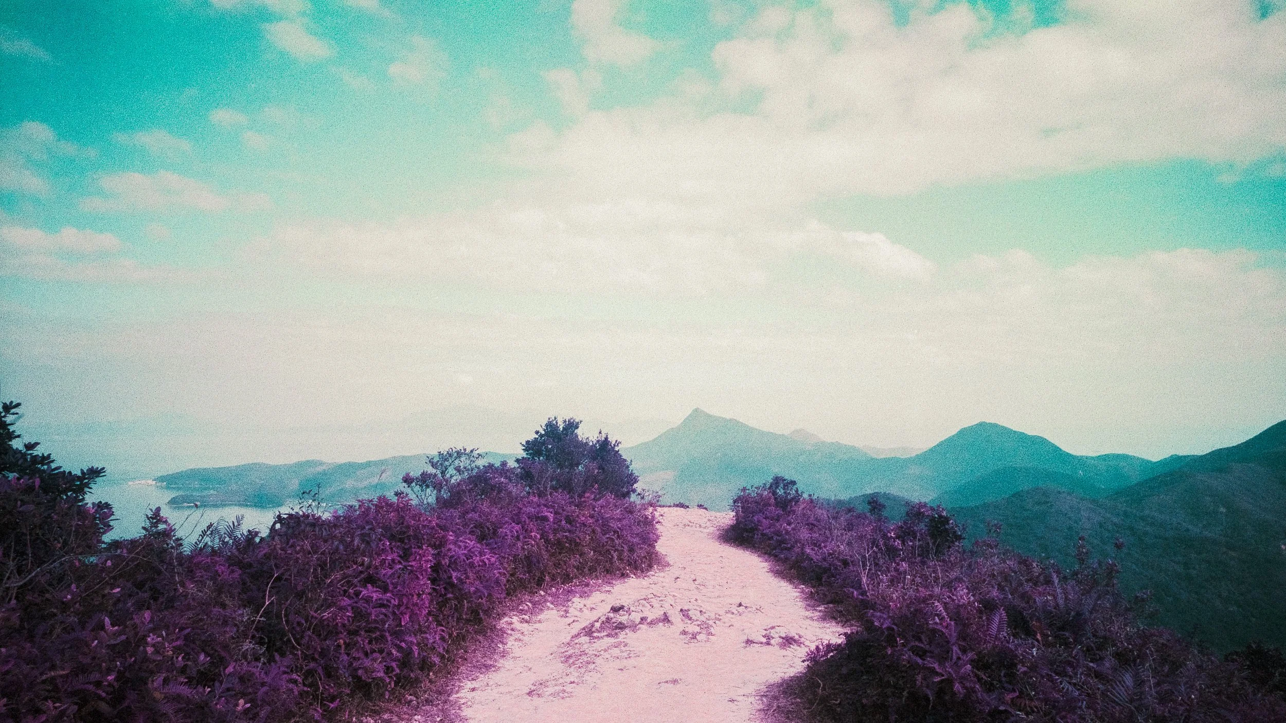4KWEB-M6-2024-Lomochrome Purple XR-088.jpg