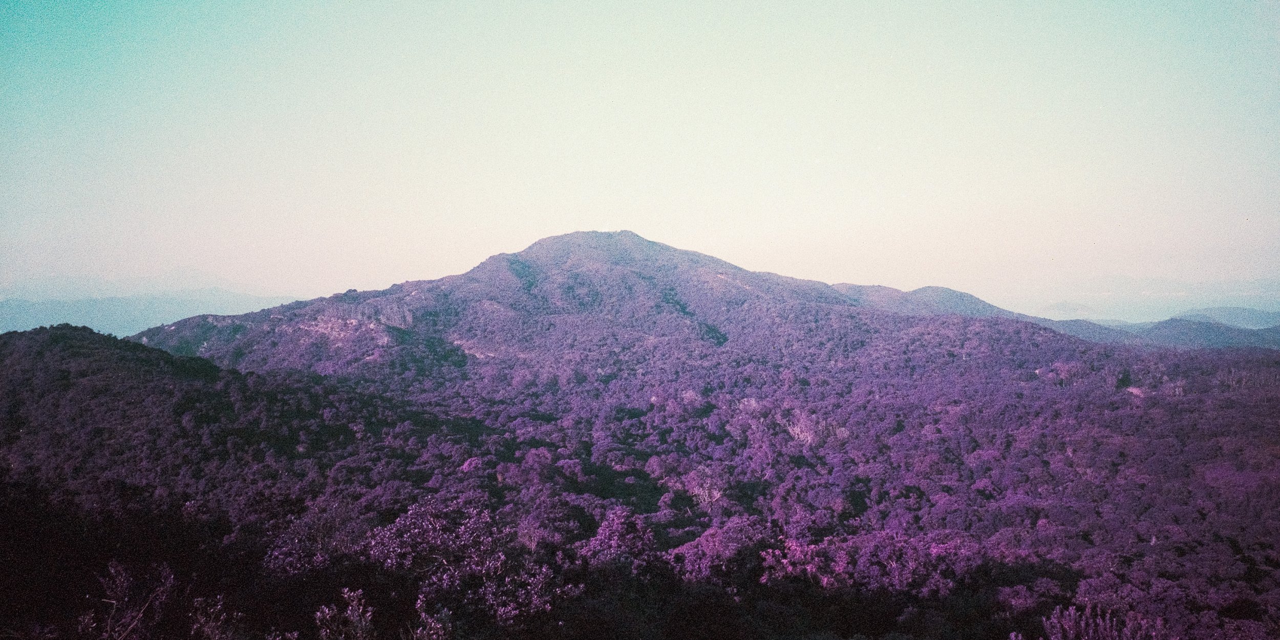 4KWEB-M6-2024-Lomochrome Purple XR-093.jpg