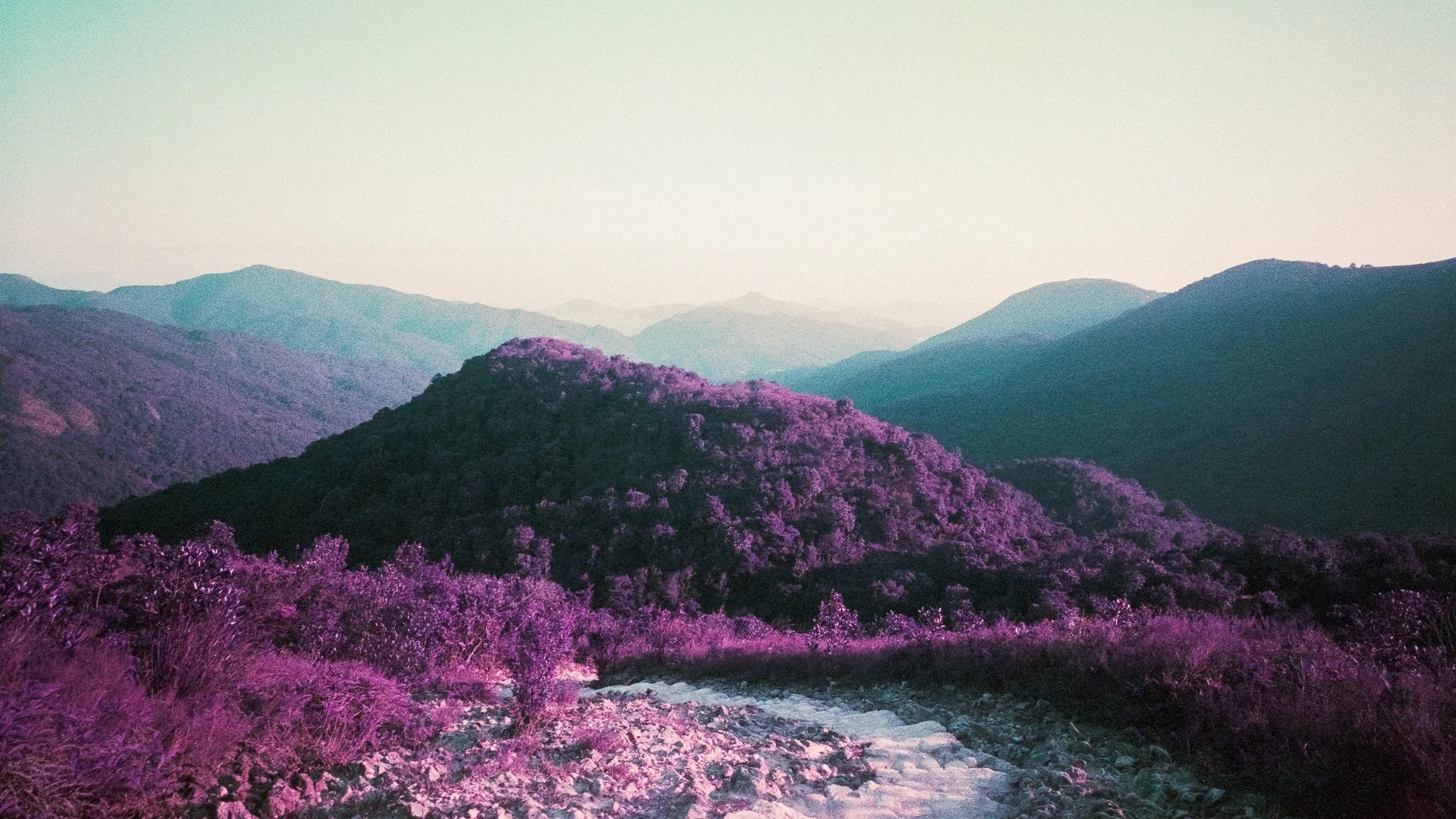 4KWEB-M6-2024-Lomochrome Purple XR-103.jpg