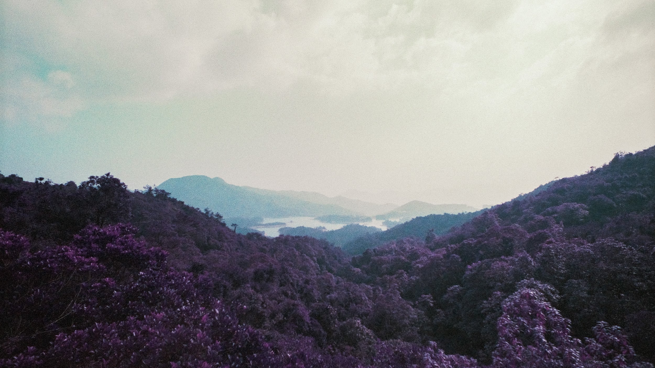 4KWEB-M6-2024-Lomochrome Purple XR-105.jpg