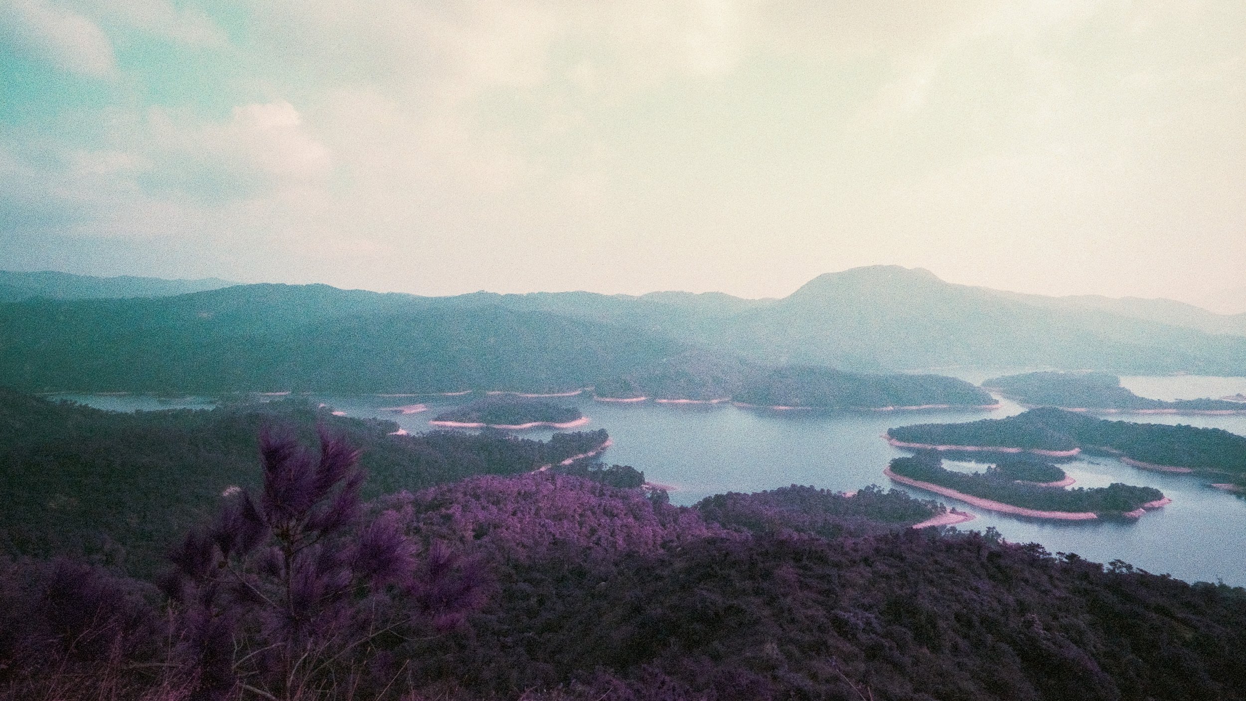 4KWEB-M6-2024-Lomochrome Purple XR-107.jpg