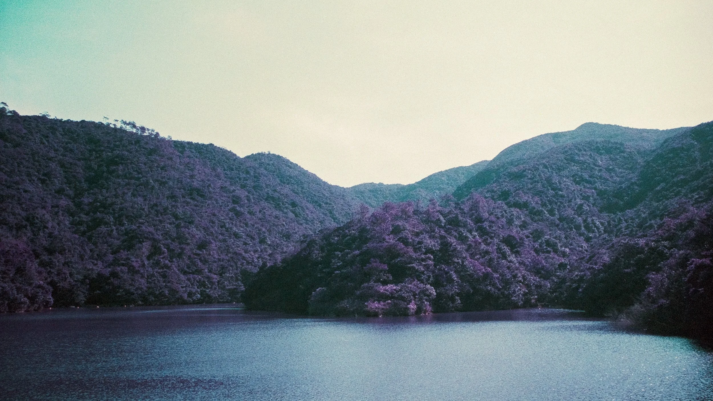 4KWEB-M6-2024-Lomochrome Purple XR-108.jpg