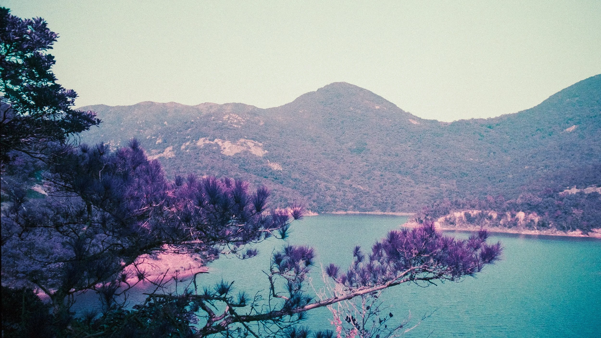 4KWEB-M6-2024-Lomochrome Purple XR-110.jpg