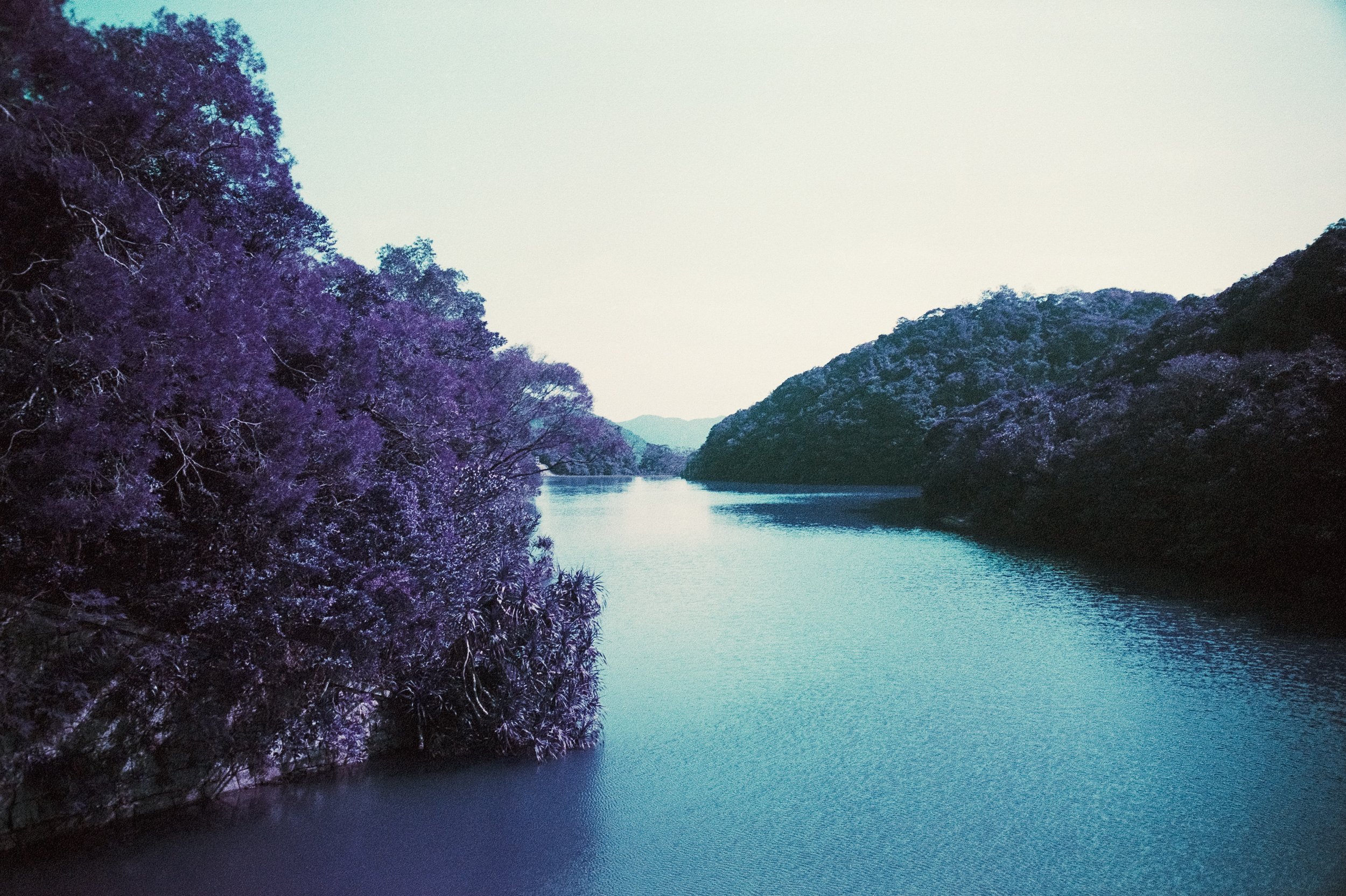 4KWEB-M6-2024-Lomochrome Purple XR-112.jpg
