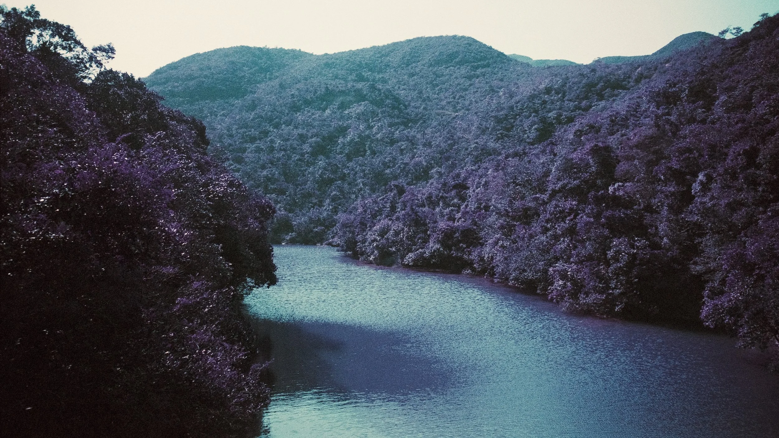 4KWEB-M6-2024-Lomochrome Purple XR-113.jpg