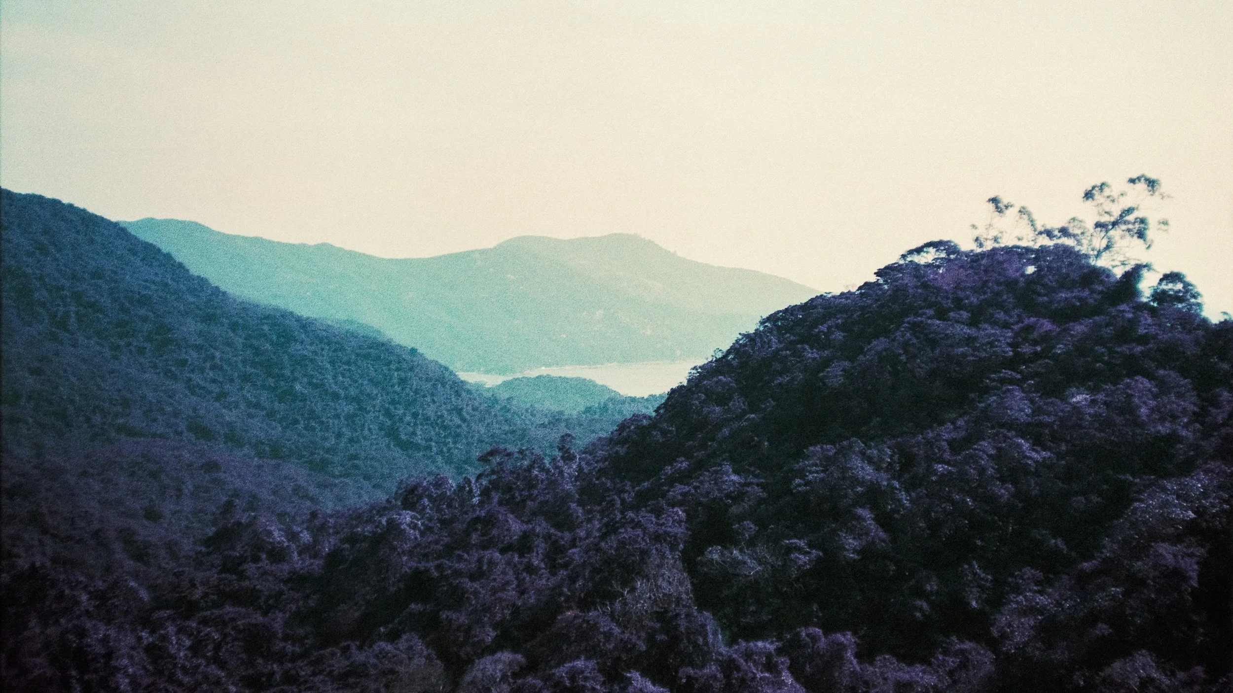 4KWEB-M6-2024-Lomochrome Purple XR-120.jpg