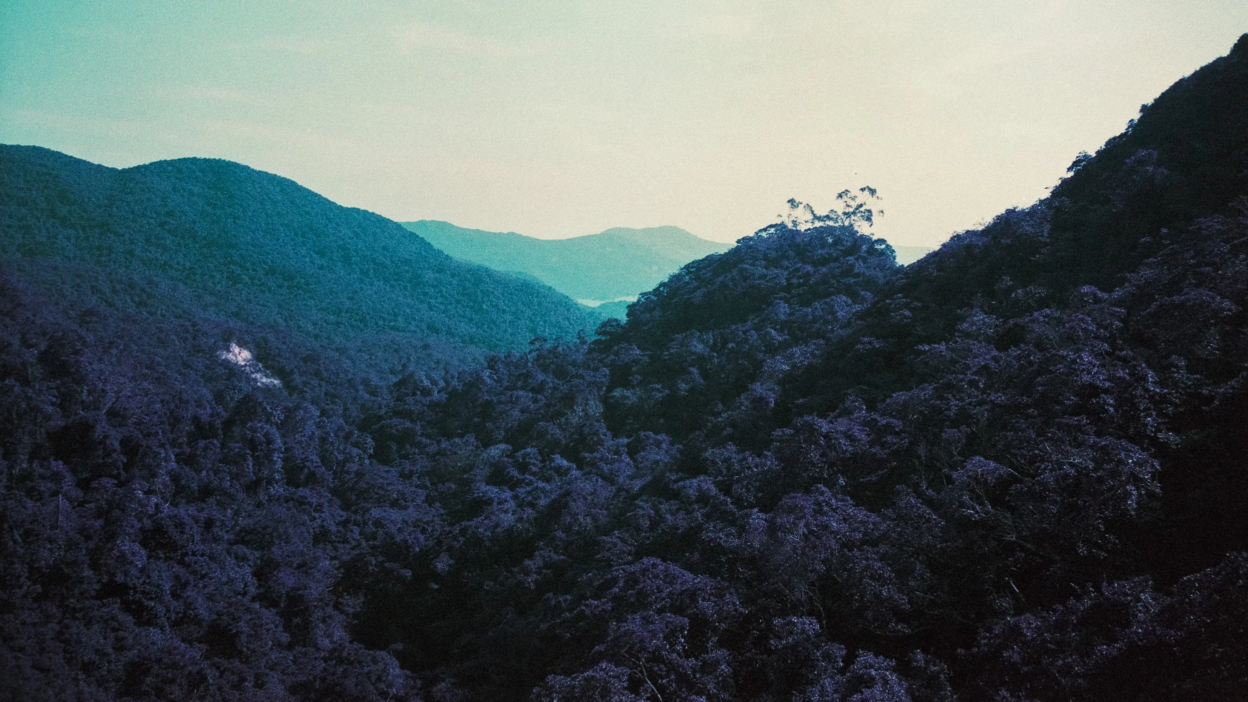 4KWEB-M6-2024-Lomochrome Purple XR-122.jpg