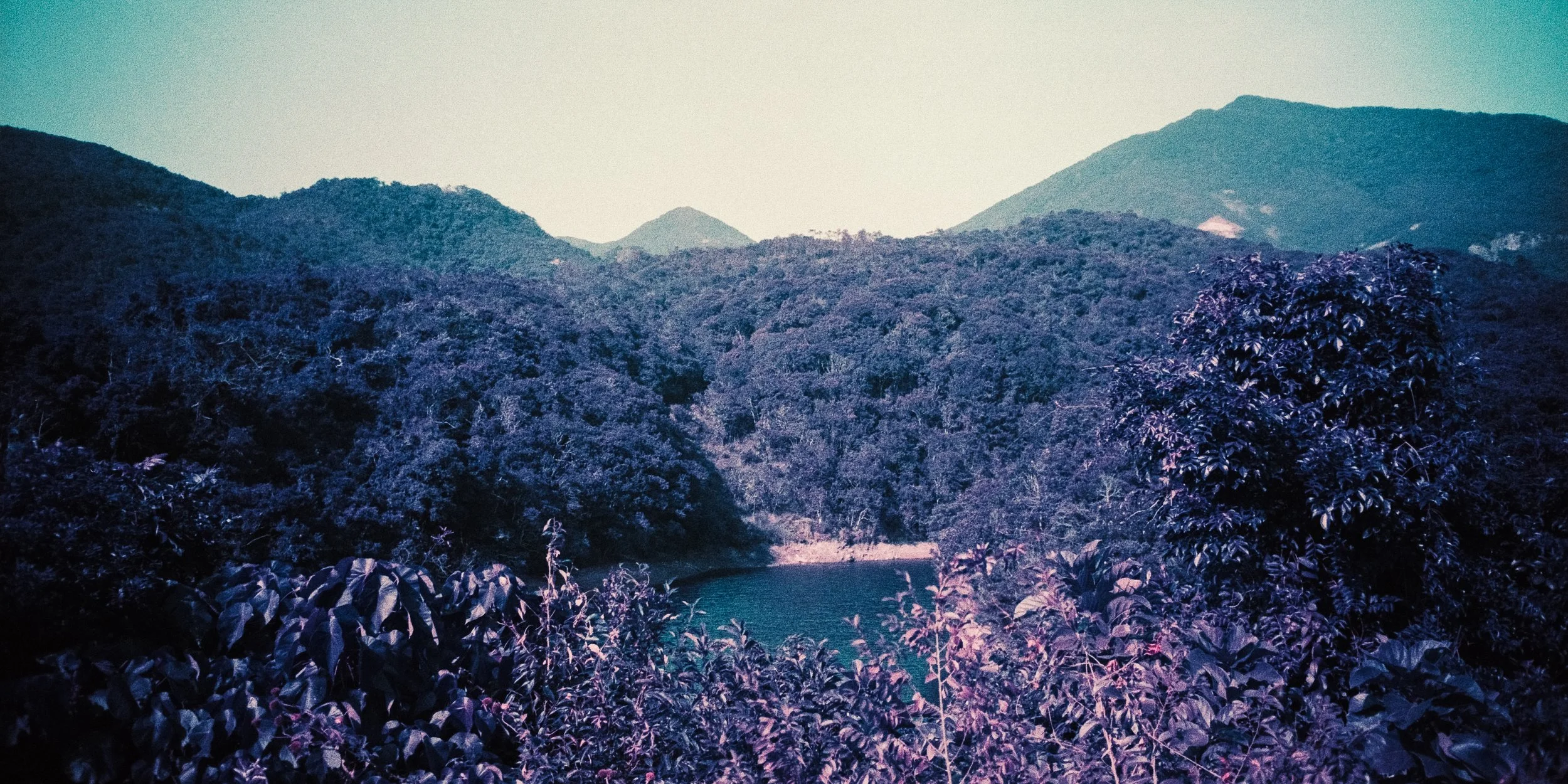 4KWEB-M6-2024-Lomochrome Purple XR-126.jpg