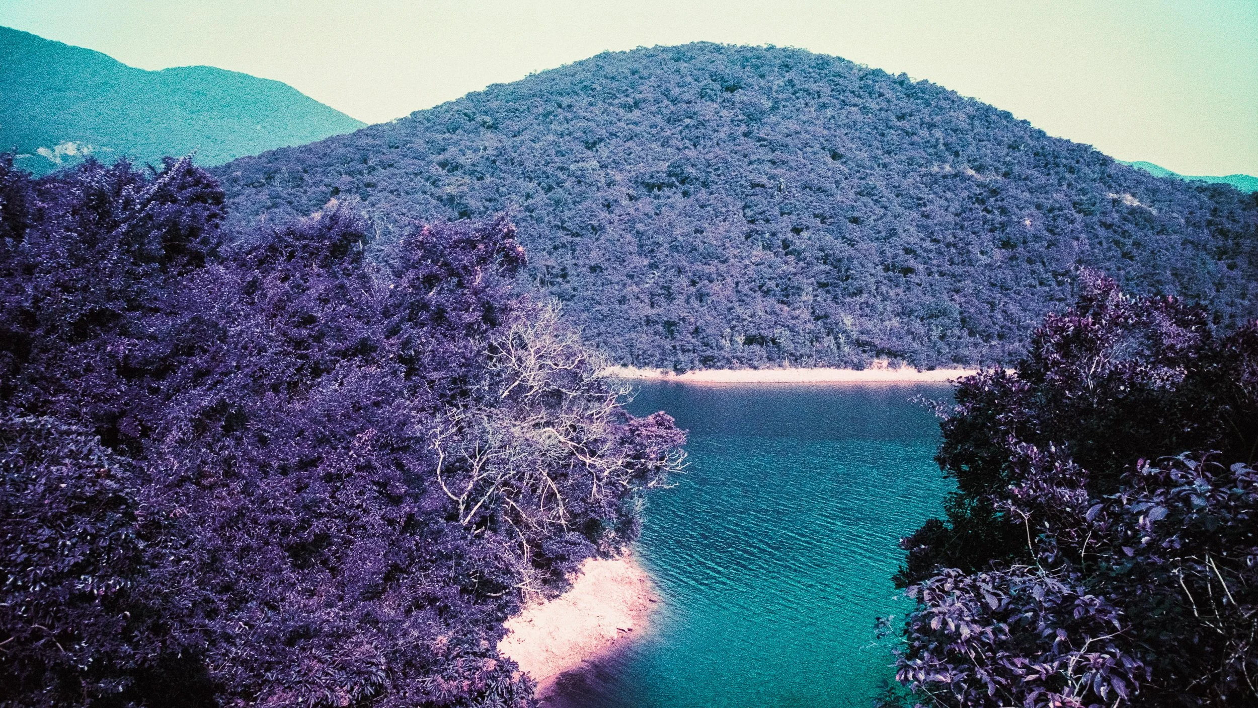 4KWEB-M6-2024-Lomochrome Purple XR-129.jpg