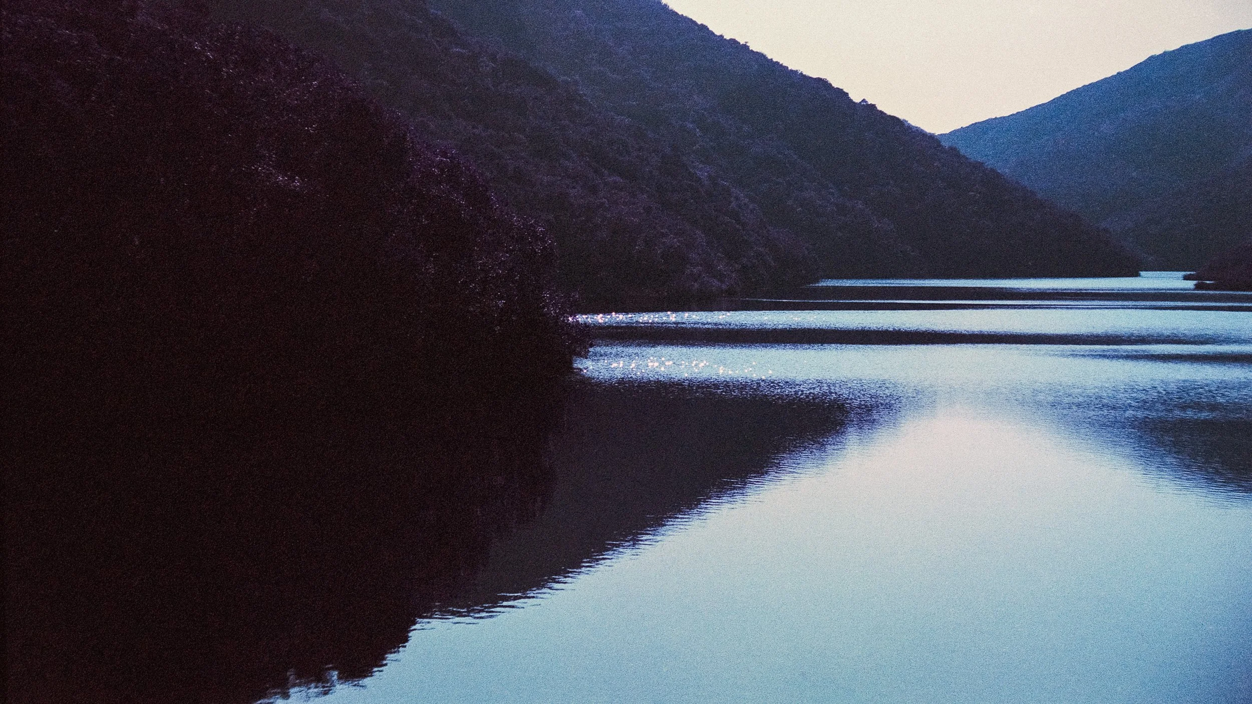 4KWEB-M6-2024-Lomochrome Purple XR-134.jpg