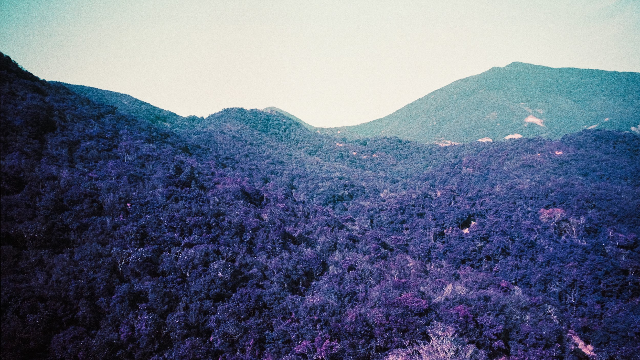 4KWEB-M6-2024-Lomochrome Purple XR-138.jpg