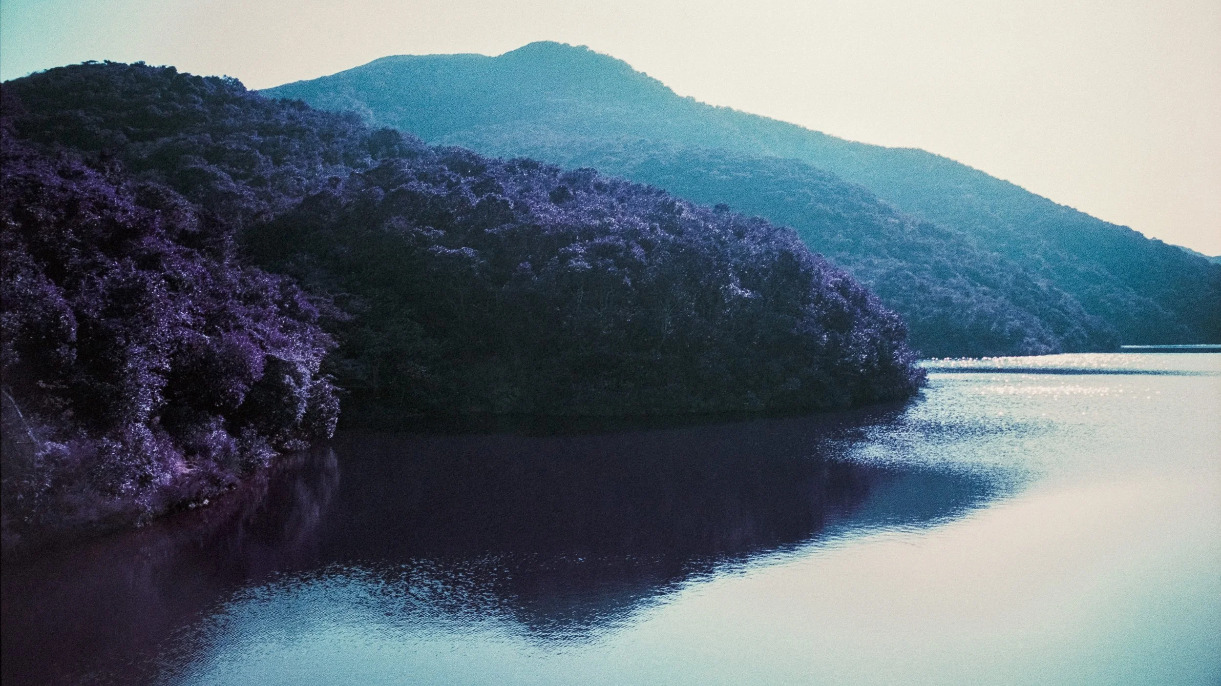 4KWEB-M6-2024-Lomochrome Purple XR-139.jpg
