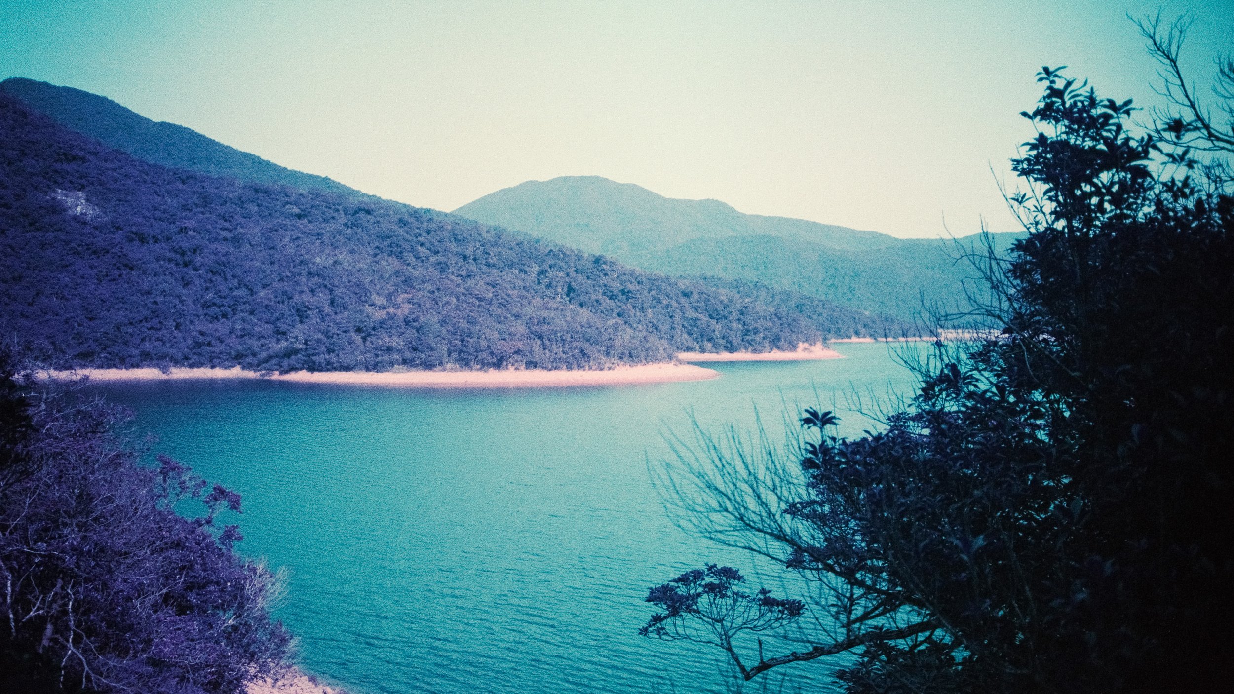 4KWEB-M6-2024-Lomochrome Purple XR-141.jpg