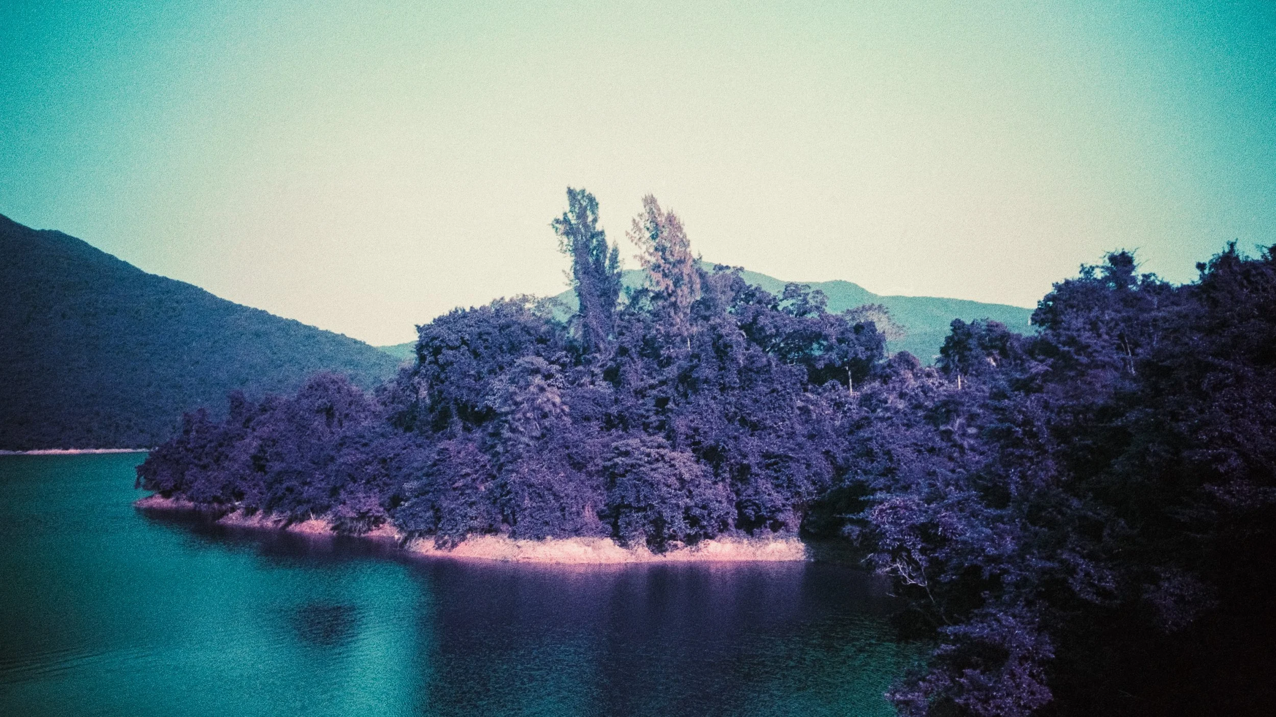 4KWEB-M6-2024-Lomochrome Purple XR-142.jpg