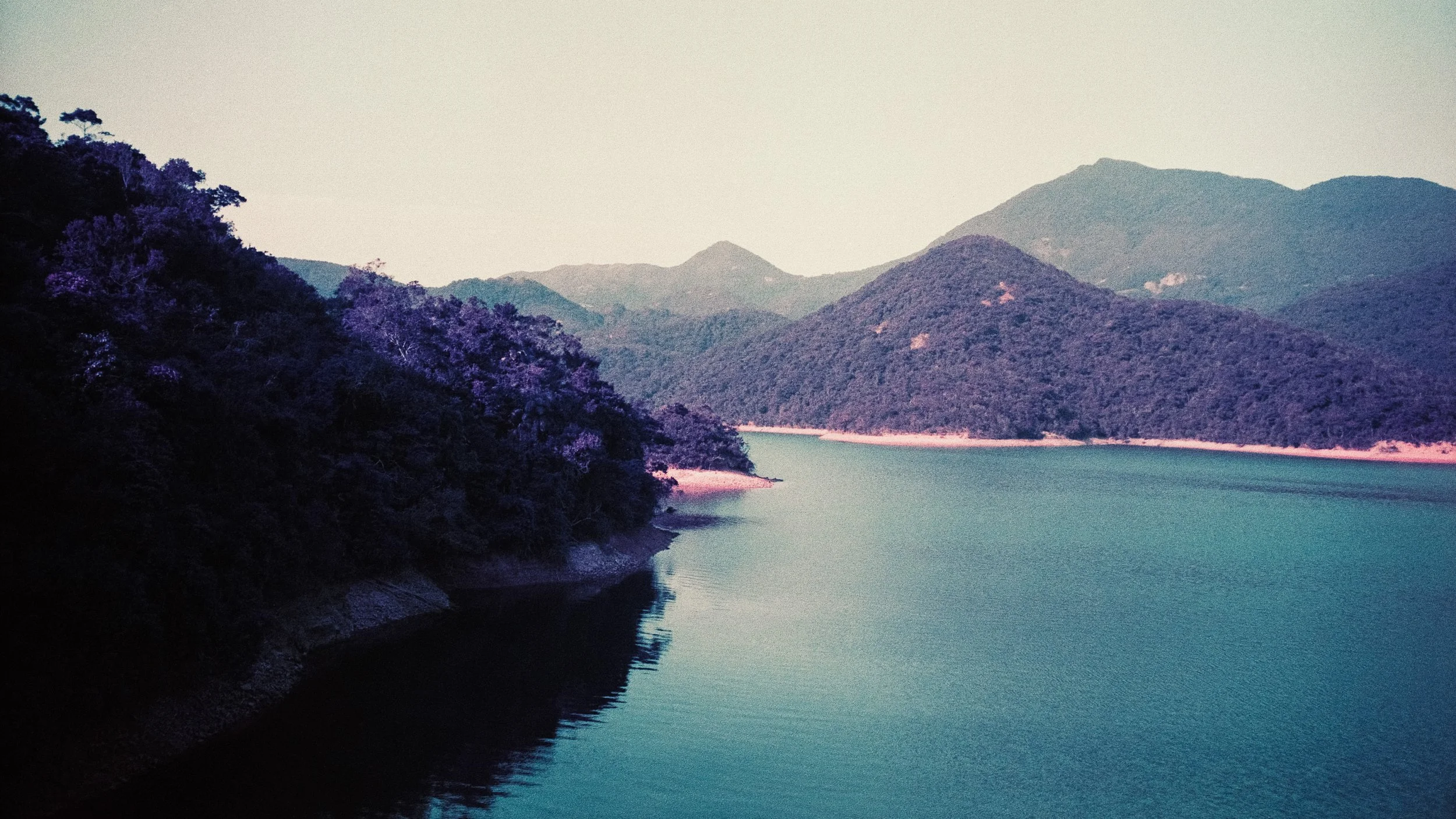 4KWEB-M6-2024-Lomochrome Purple XR-144.jpg