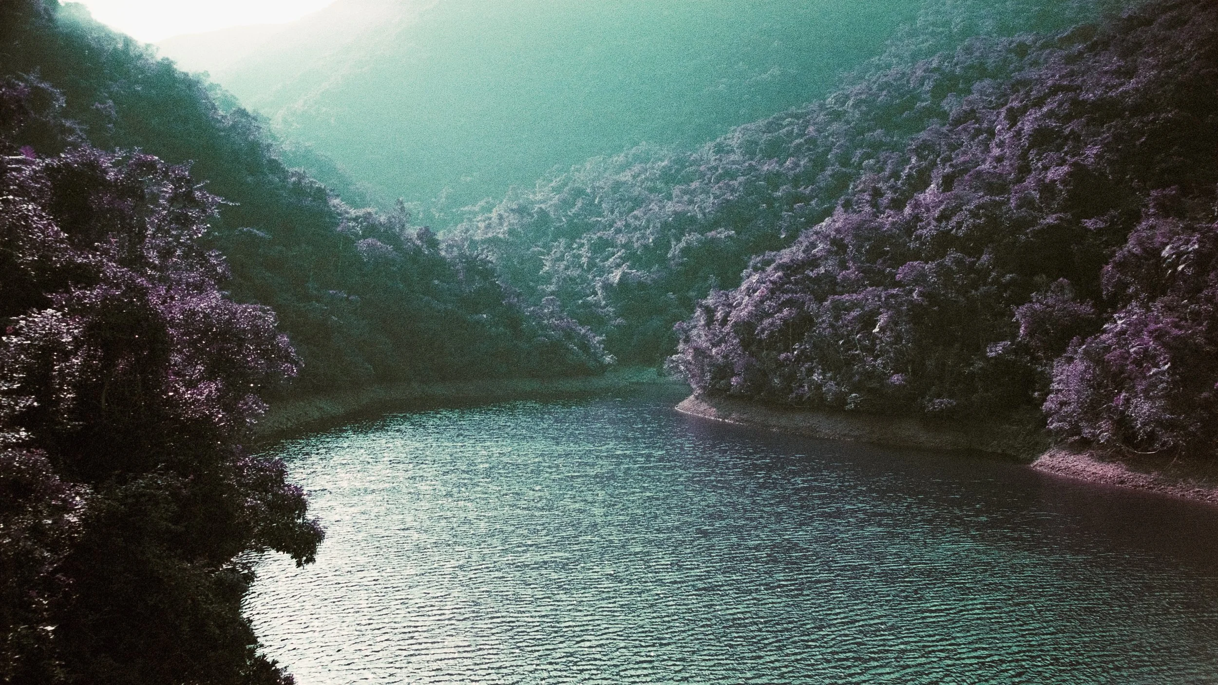 4KWEB-M6-2024-Lomochrome Purple XR-146.jpg