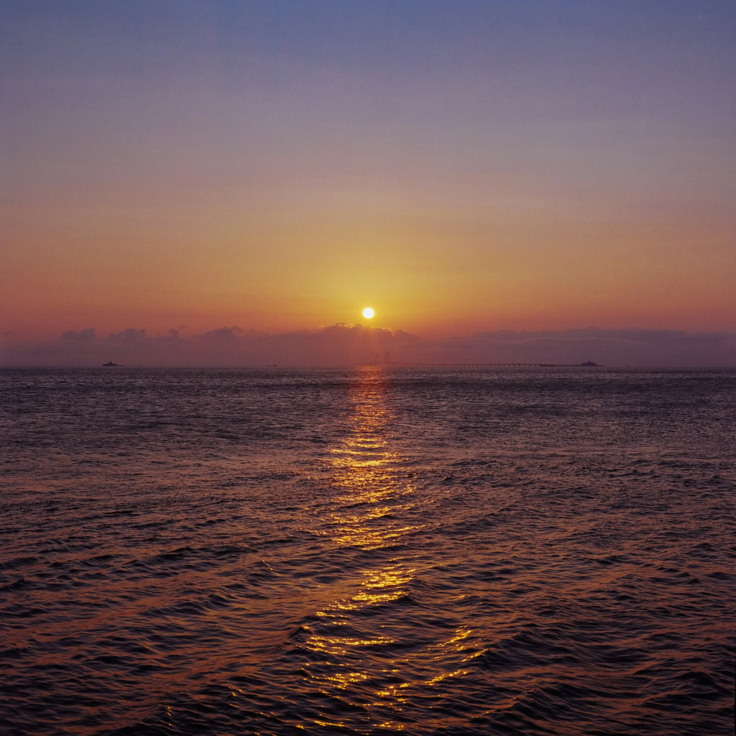 4KWEB-Gold 200-2022-503CW-028.jpg