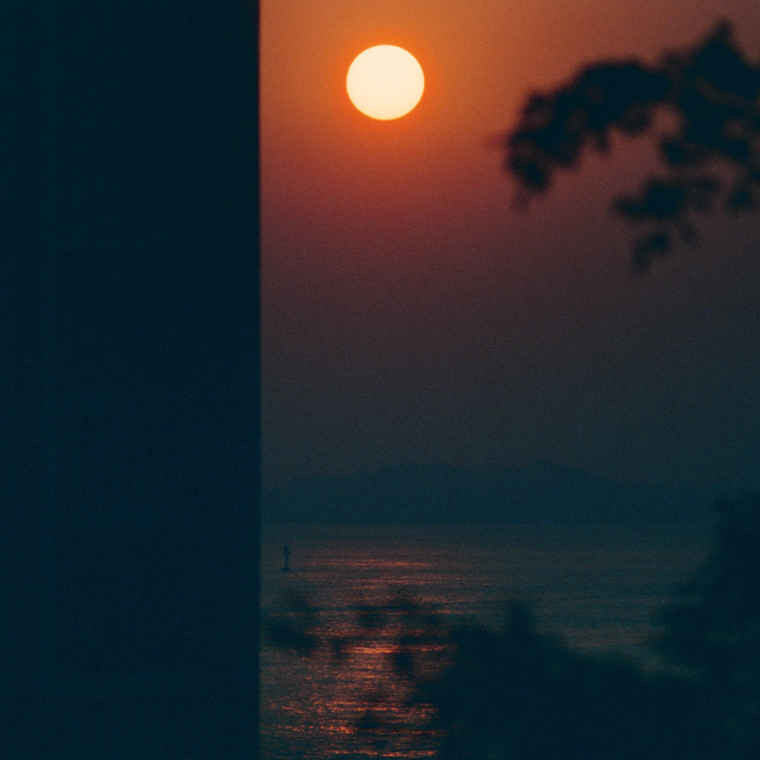 4KWEB-S2b-2025-Reflxlab 400D(Photo Spectrum scan negative)-29.jpg